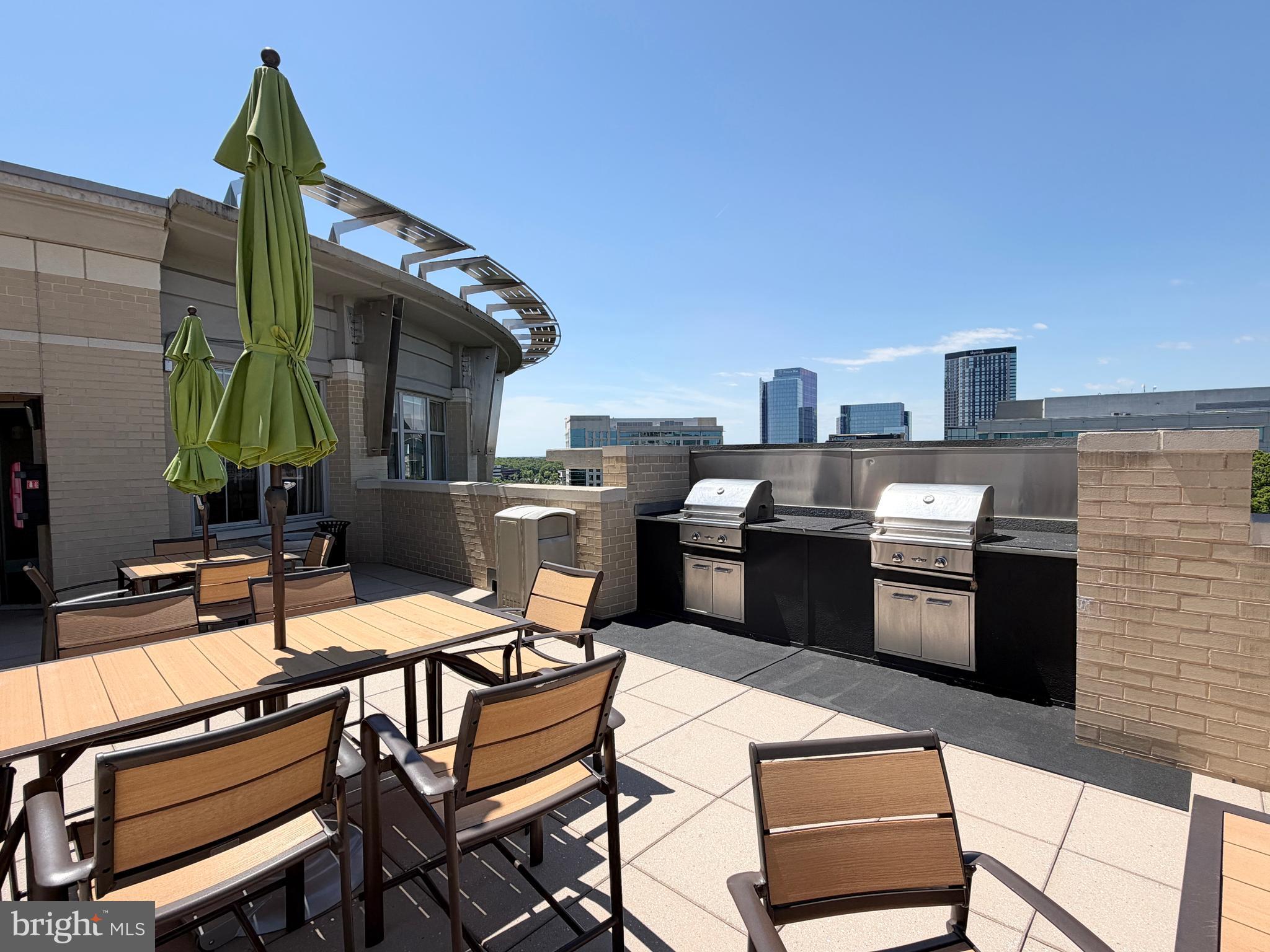 11800 Sunset Hills Road, Unit 422 Reston, VA 20190 - Photo 18 of 36 Rooftop deck with grills