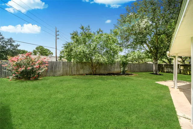 a view of a yard with a tree