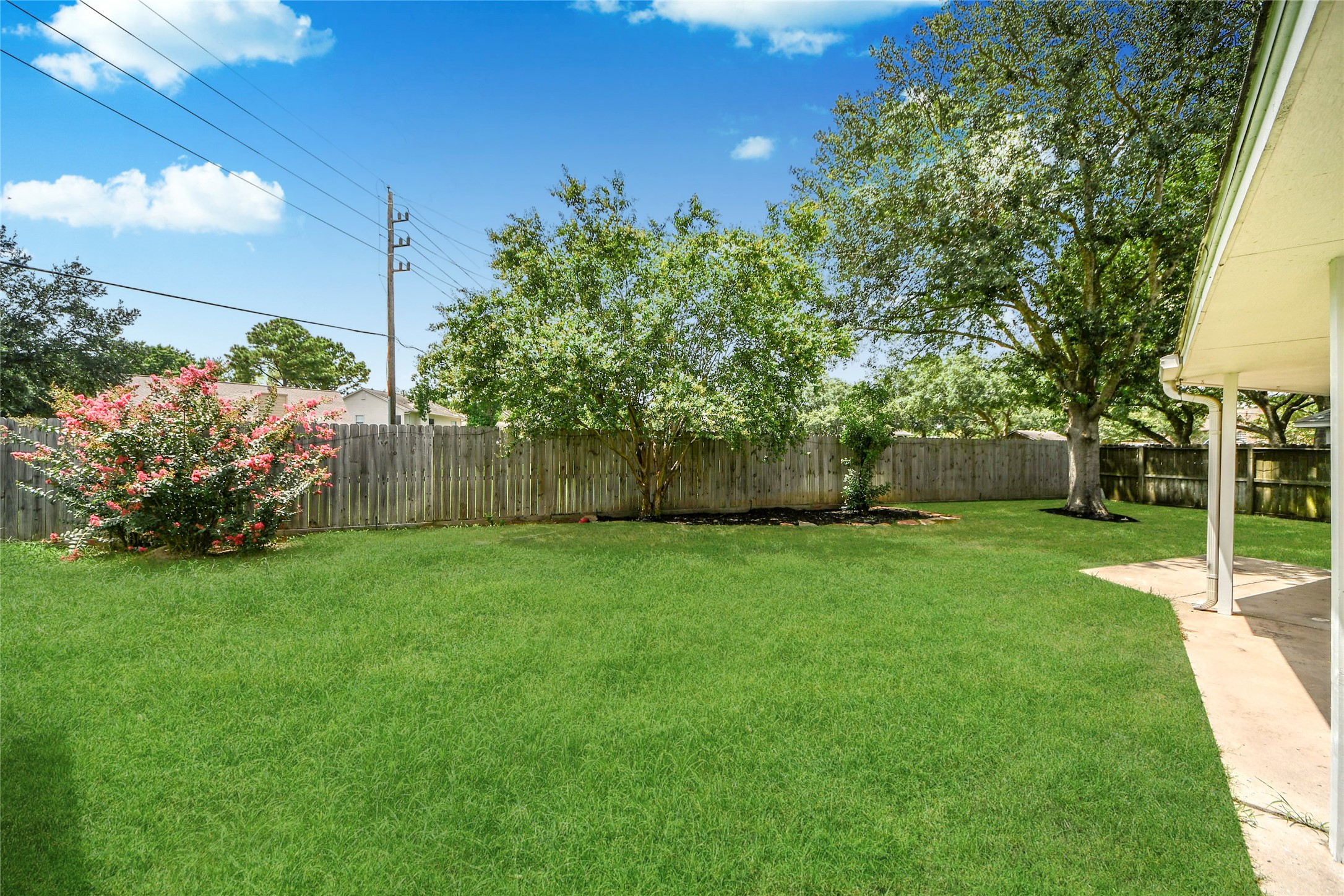 8510 Canyon Pine Drive Spring, TX 77379 - Photo 39 of 42 a view of a yard with a tree