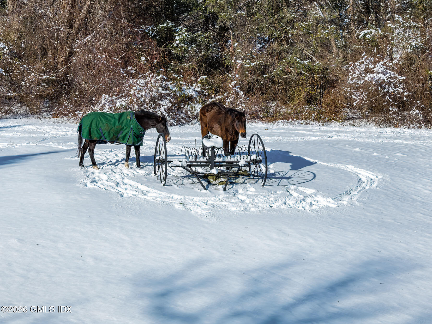 640 Round Hill Road Greenwich, CT 06831 - Photo 53 of 54 3 horses