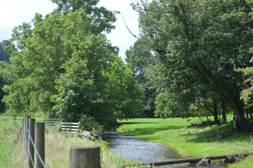 Tbd Old Lake Road Marion, VA 24354 - Photo 28 of 31 Gallery Image 28