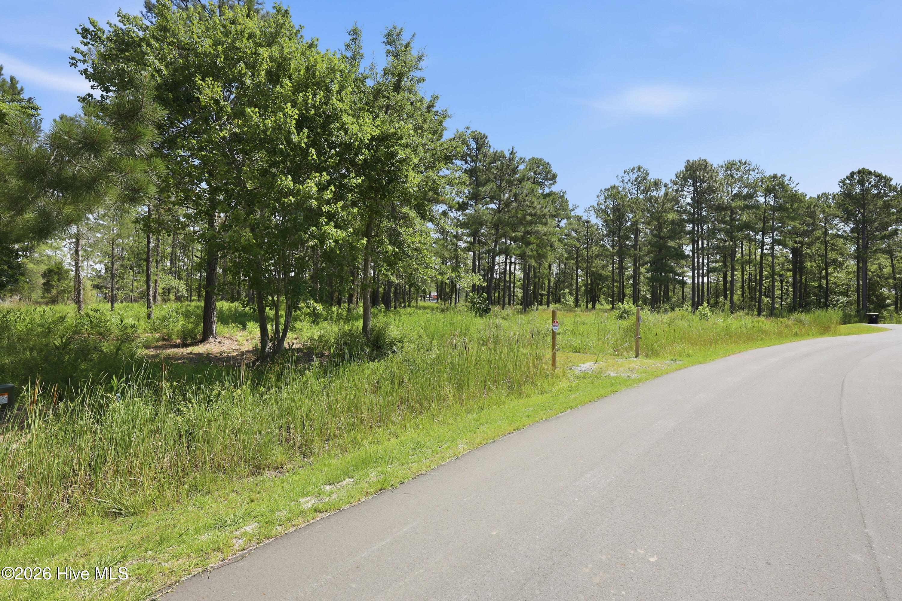 247 Shell Castle Lane Vandemere, NC 28587 - Photo 2 of 16