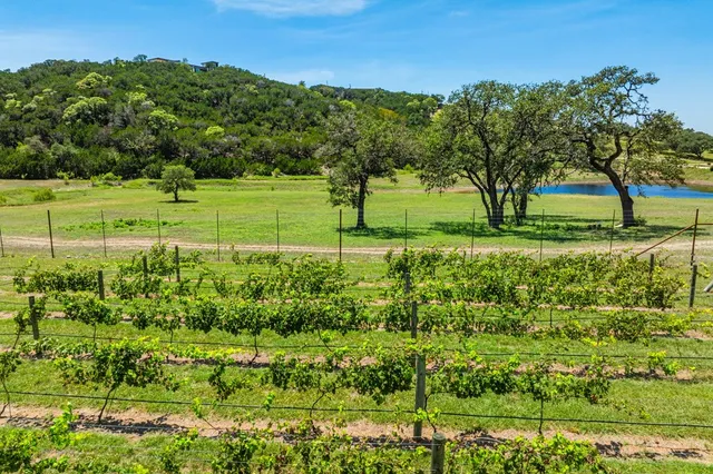 a view of a backyard of the house