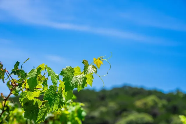 a view of a lake with an outdoor space