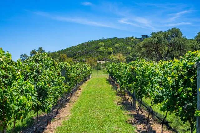 a view of a terrace with a garden