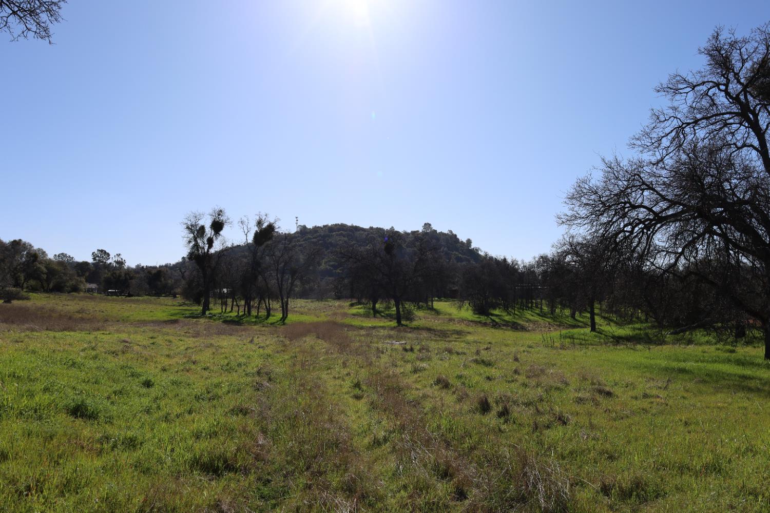10 Douglas Road South Coarsegold, CA 93614 - Photo 6 of 29 Gallery Image 6