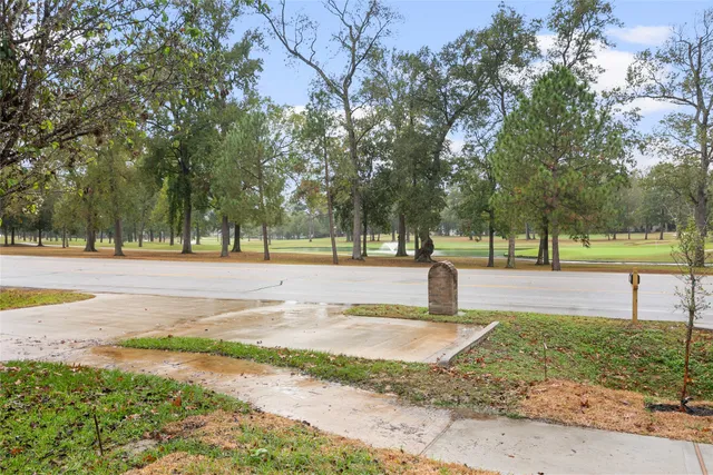 a park view with large trees