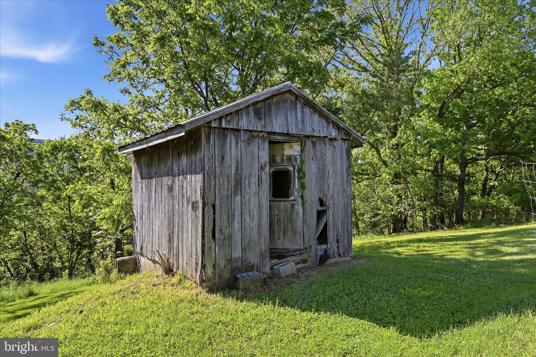 1909 Spohrs Road Berkeley Springs, WV 25411 - Photo 56 of 87 Shed