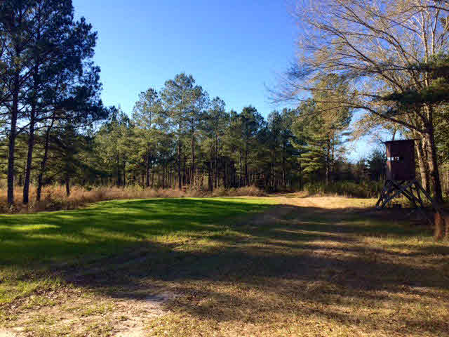 20932 Earl Phillips Road Little River, AL 36550 - Photo 12 of 17