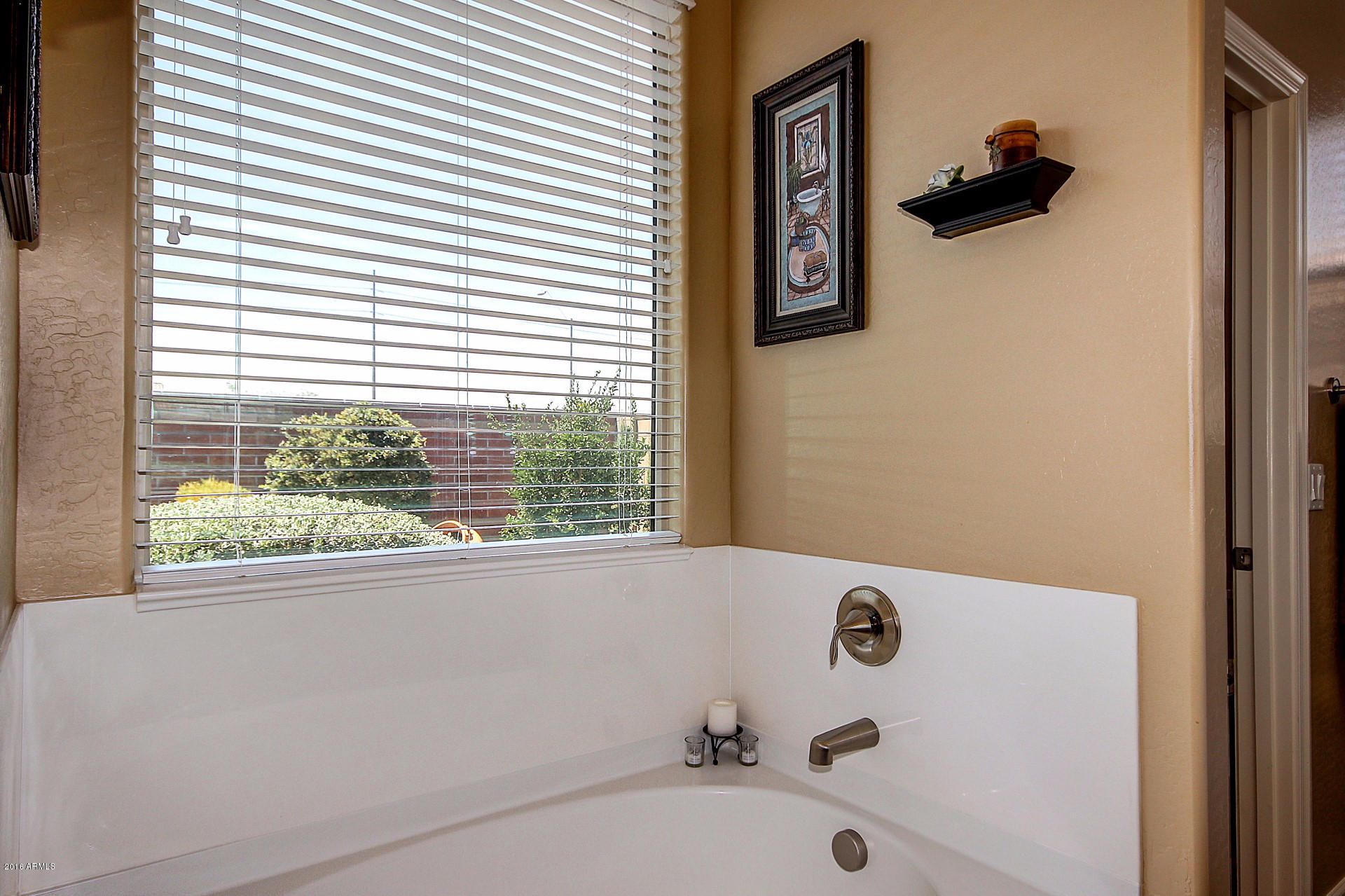 15217 West Wethersfield Road Surprise, AZ 85379 - Photo 24 of 48 Wethersfield (25)