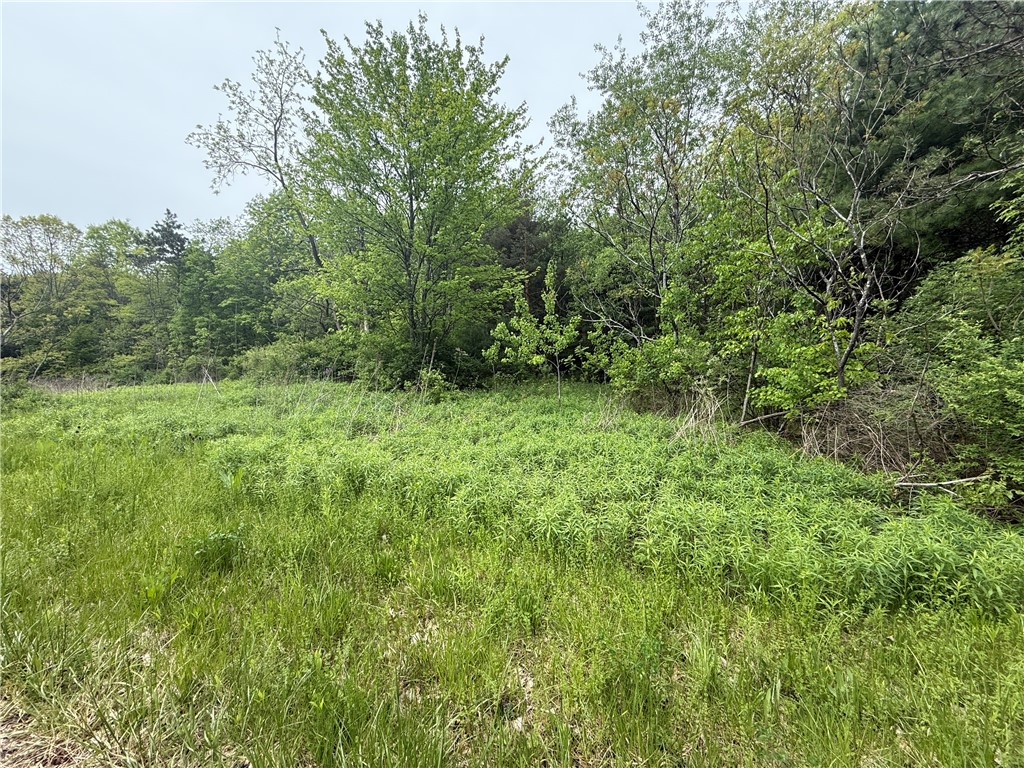 0 Straw Hill Road Barton, NY 13734 - Photo 6 of 6