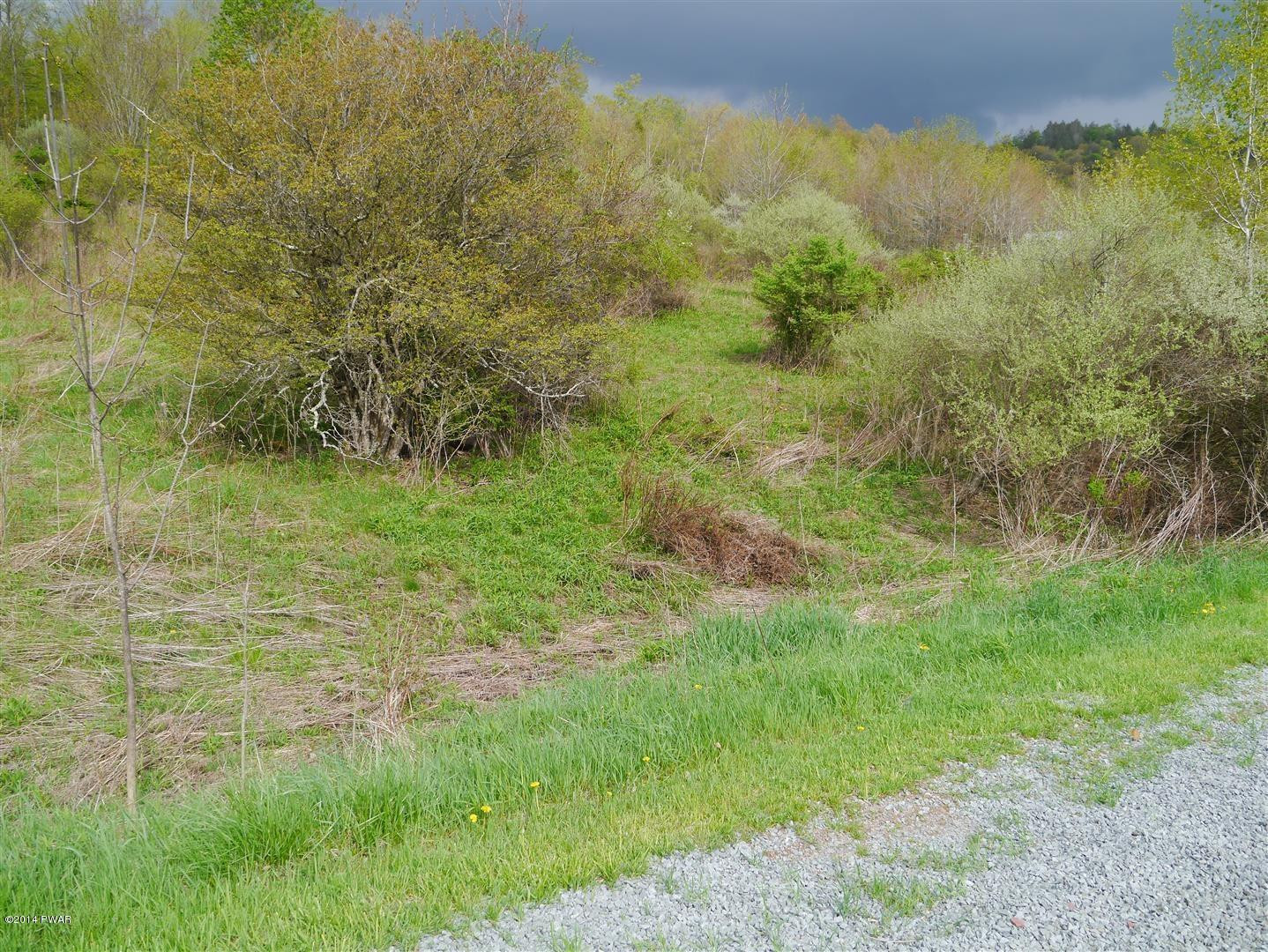 Valley View Road Damascus, PA 18415 - Photo 6 of 6