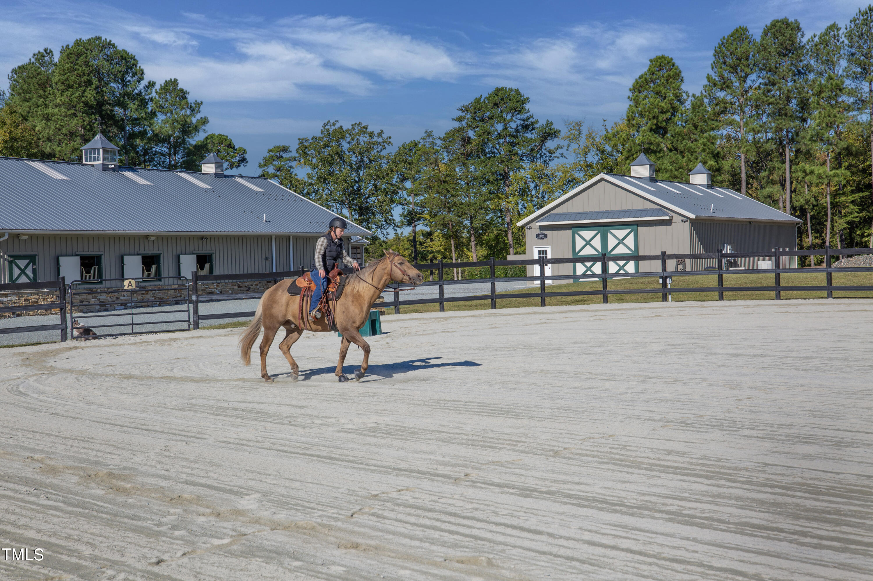 1879 Riverend Lane Semora, NC 27343 - Photo 31 of 91 Riverend Barn Rider