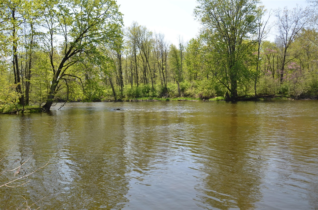 2255 River Road Hastings, MI 49058 - Photo 75 of 94