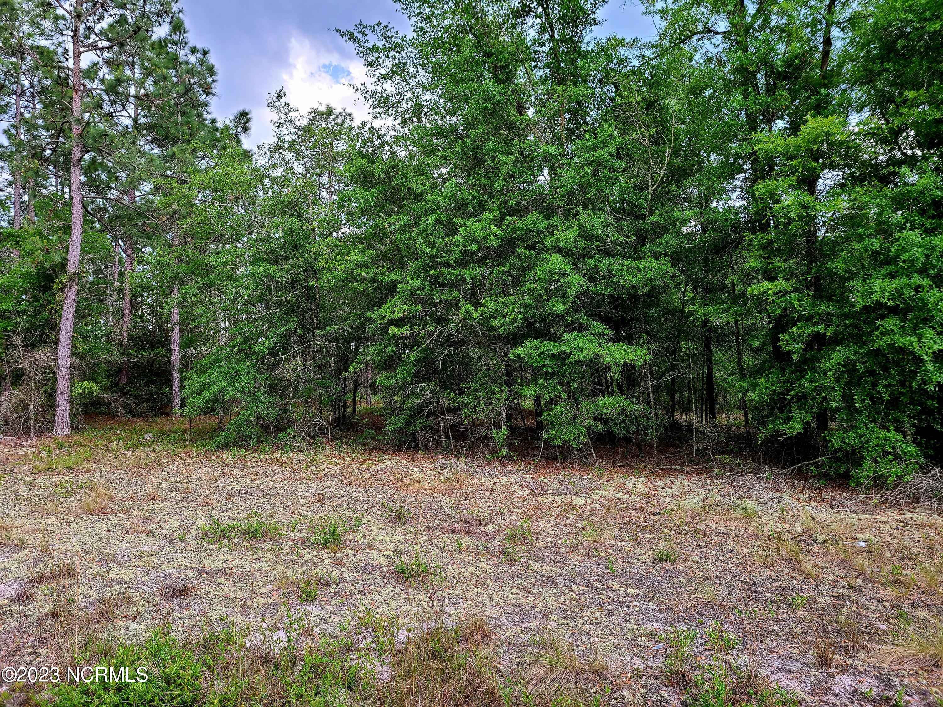 0 Scronce Road Harrells, NC 28444 - Photo 2 of 5 20230509_152504