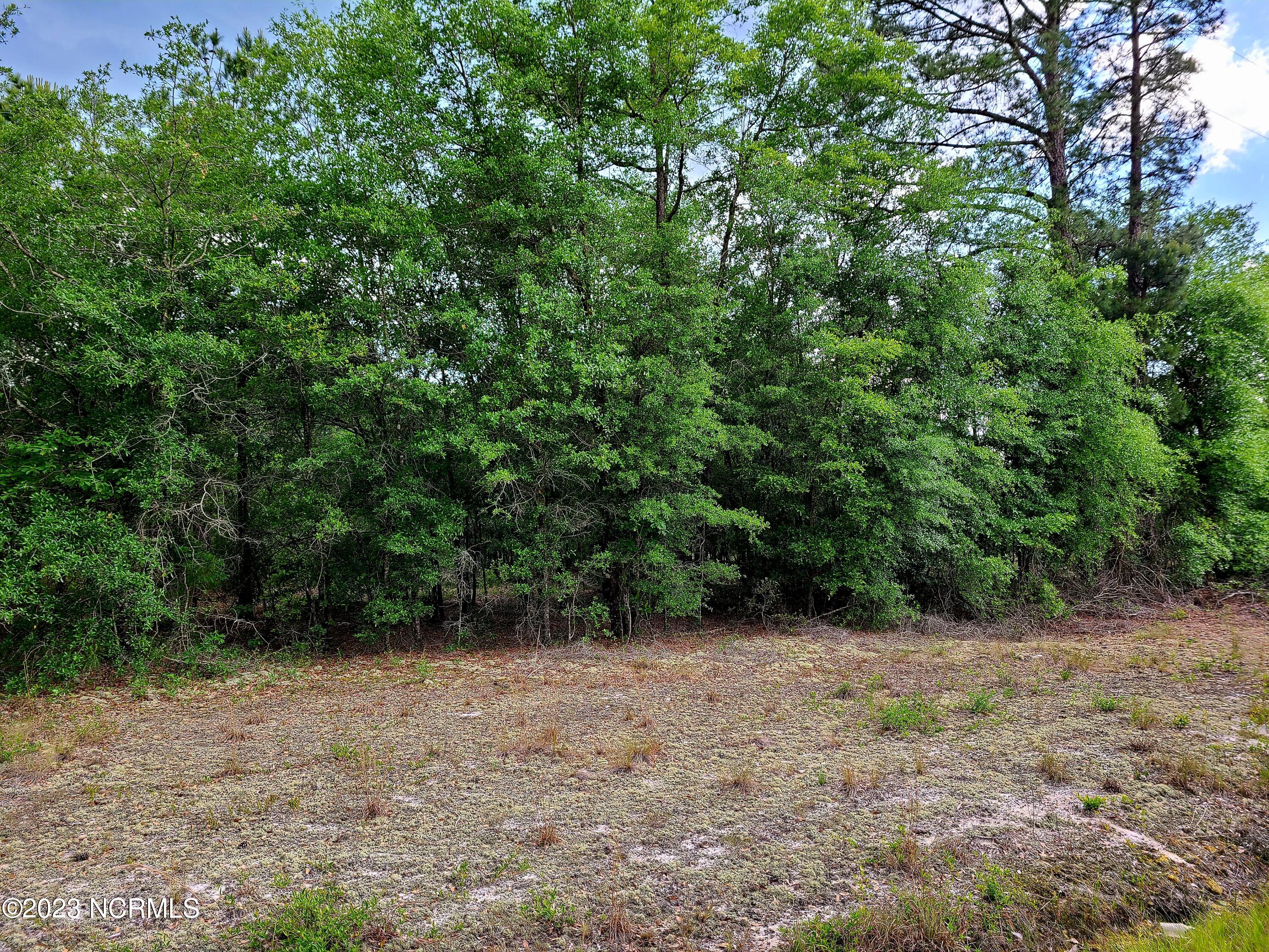 0 Scronce Road Harrells, NC 28444 - Photo 3 of 5 20230509_152532