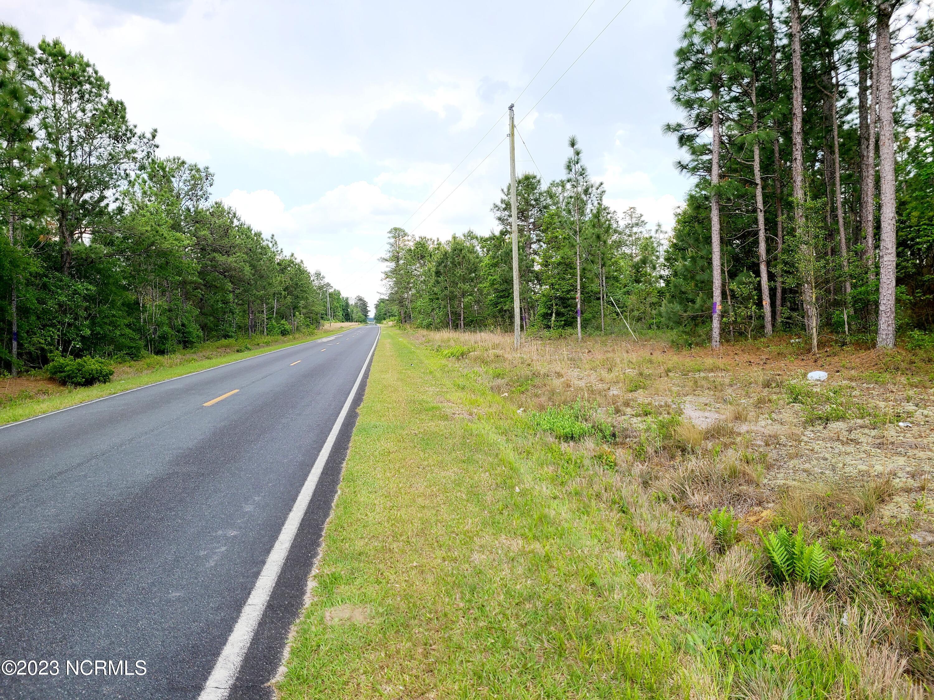 0 Scronce Road Harrells, NC 28444 - Photo 4 of 5 20230509_152606