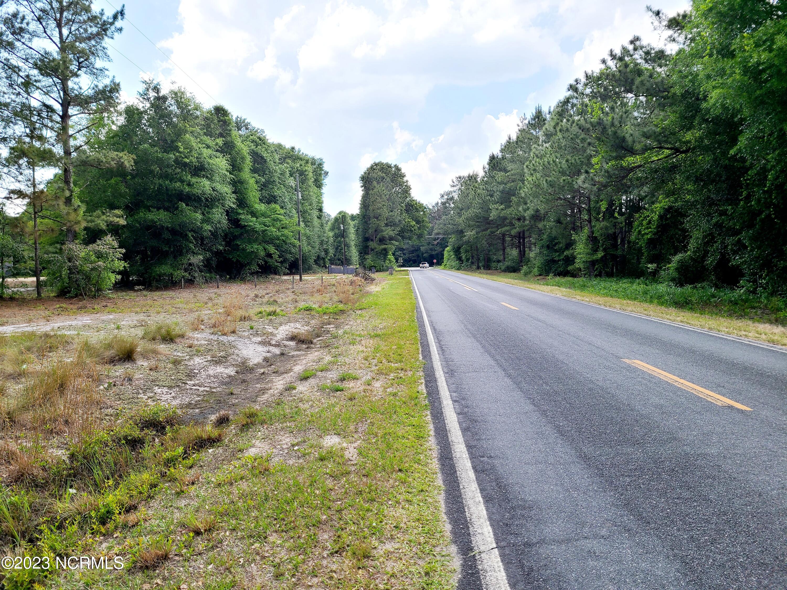 0 Scronce Road Harrells, NC 28444 - Photo 5 of 5 20230509_152634