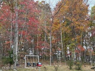 1016 Country Mountain Road Cosby, TN 37722 - Photo 39 of 46 IMG_9924