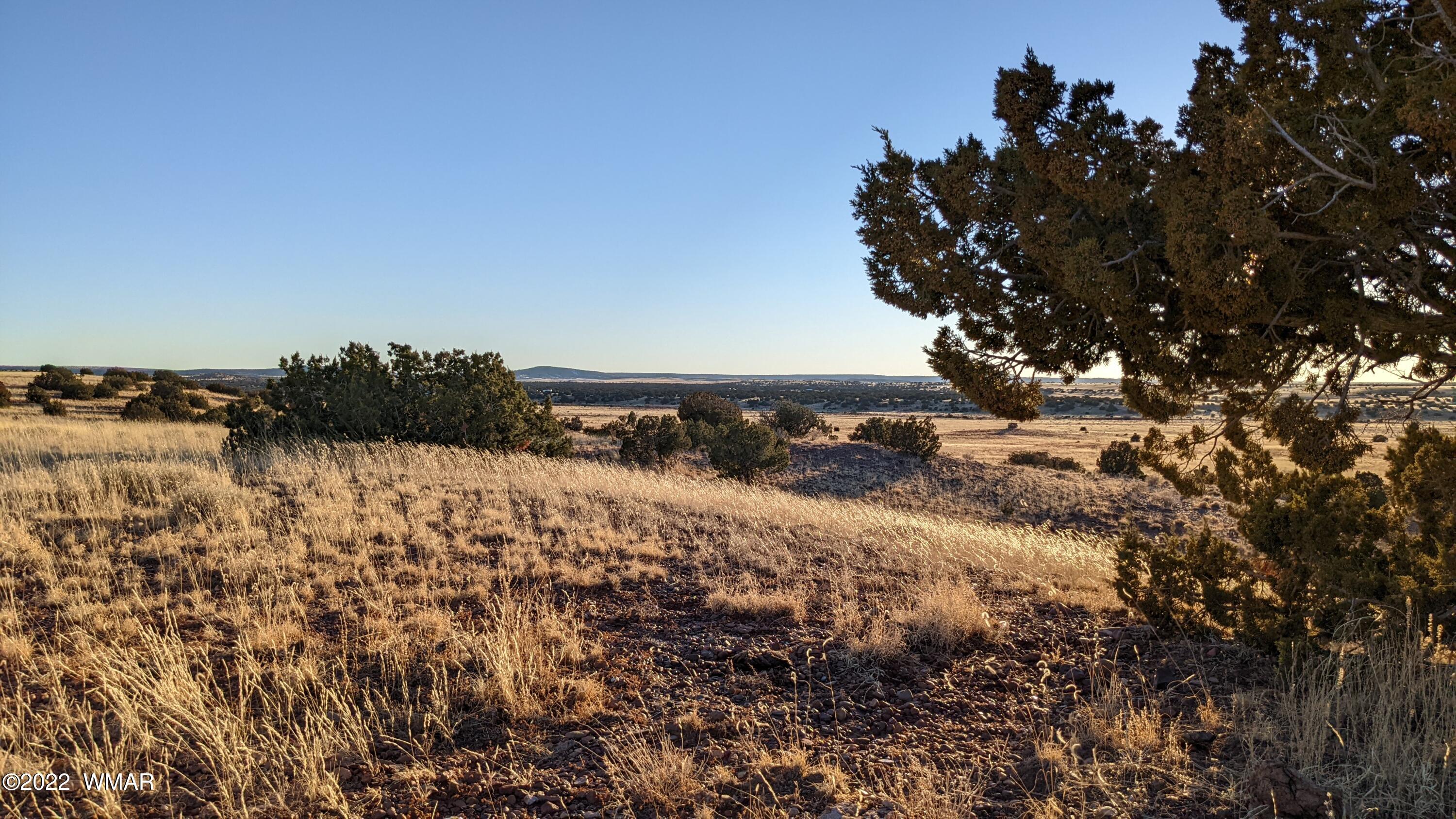 Lot 68 Big Valley Ranch Concho, AZ 85924 - Photo 1 of 17