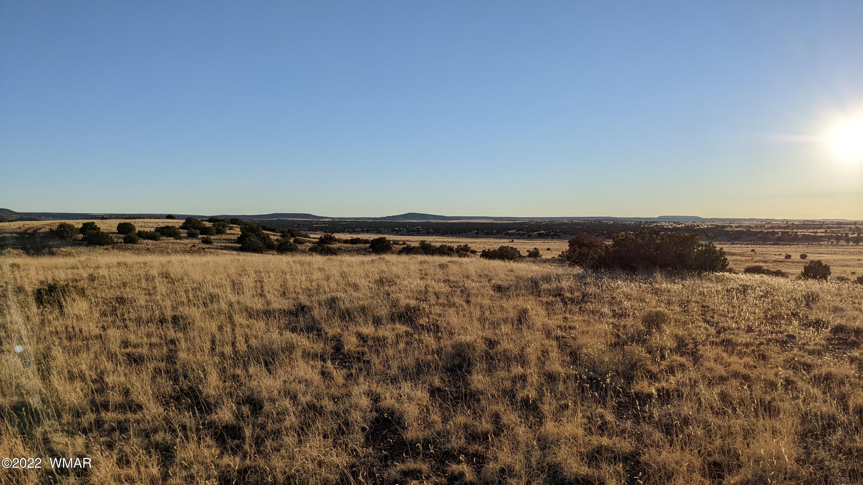 Lot 68 Big Valley Ranch Concho, AZ 85924 - Photo 11 of 17