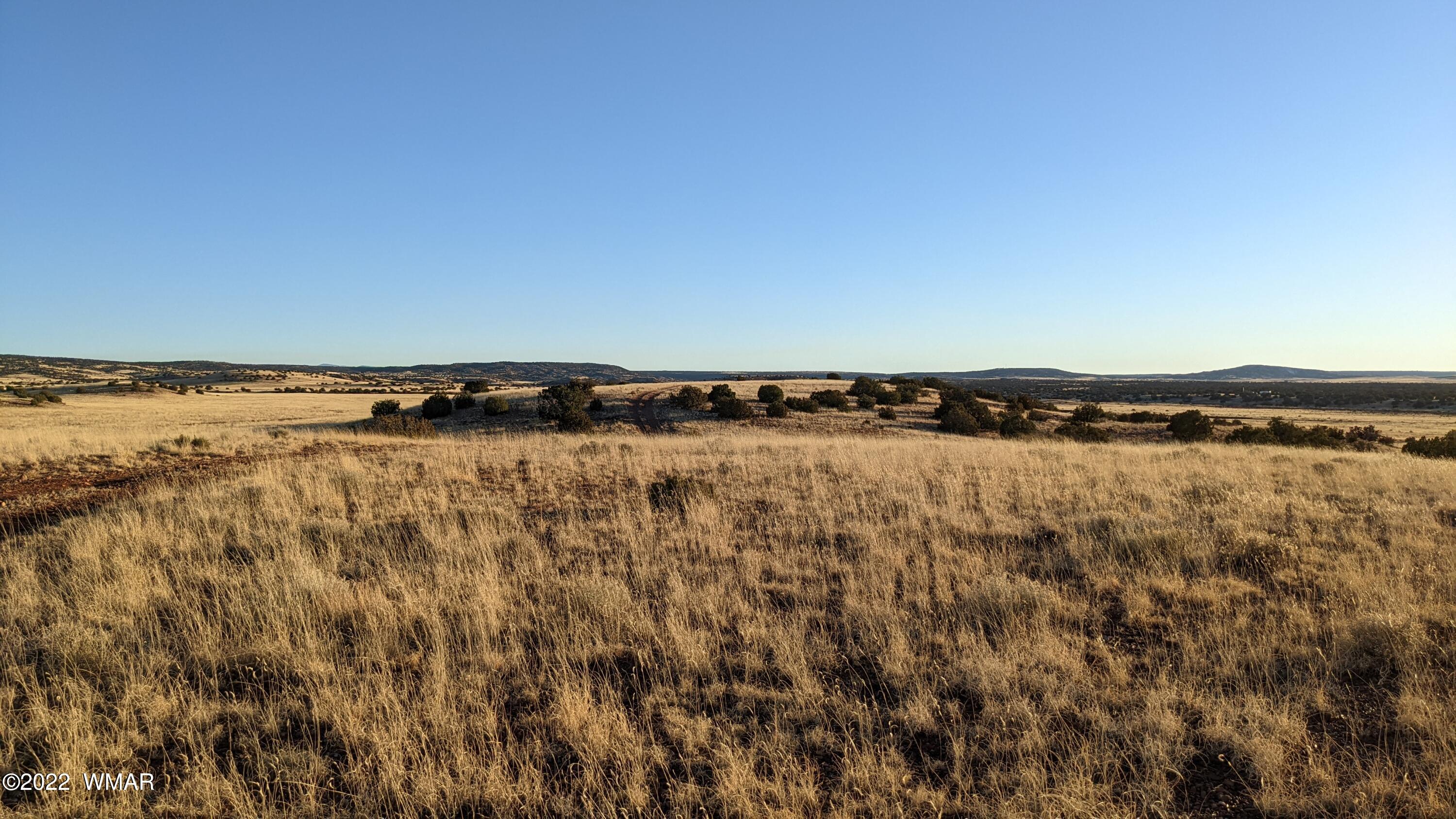 Lot 68 Big Valley Ranch Concho, AZ 85924 - Photo 12 of 17