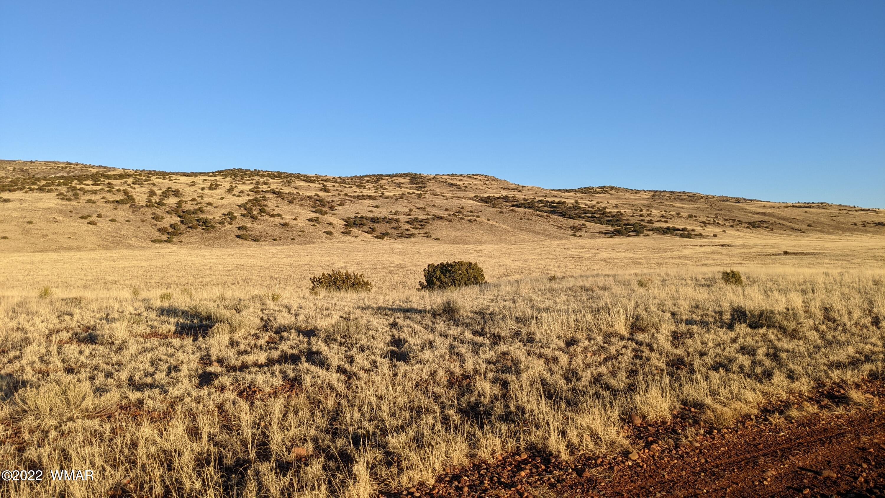 Lot 68 Big Valley Ranch Concho, AZ 85924 - Photo 13 of 17