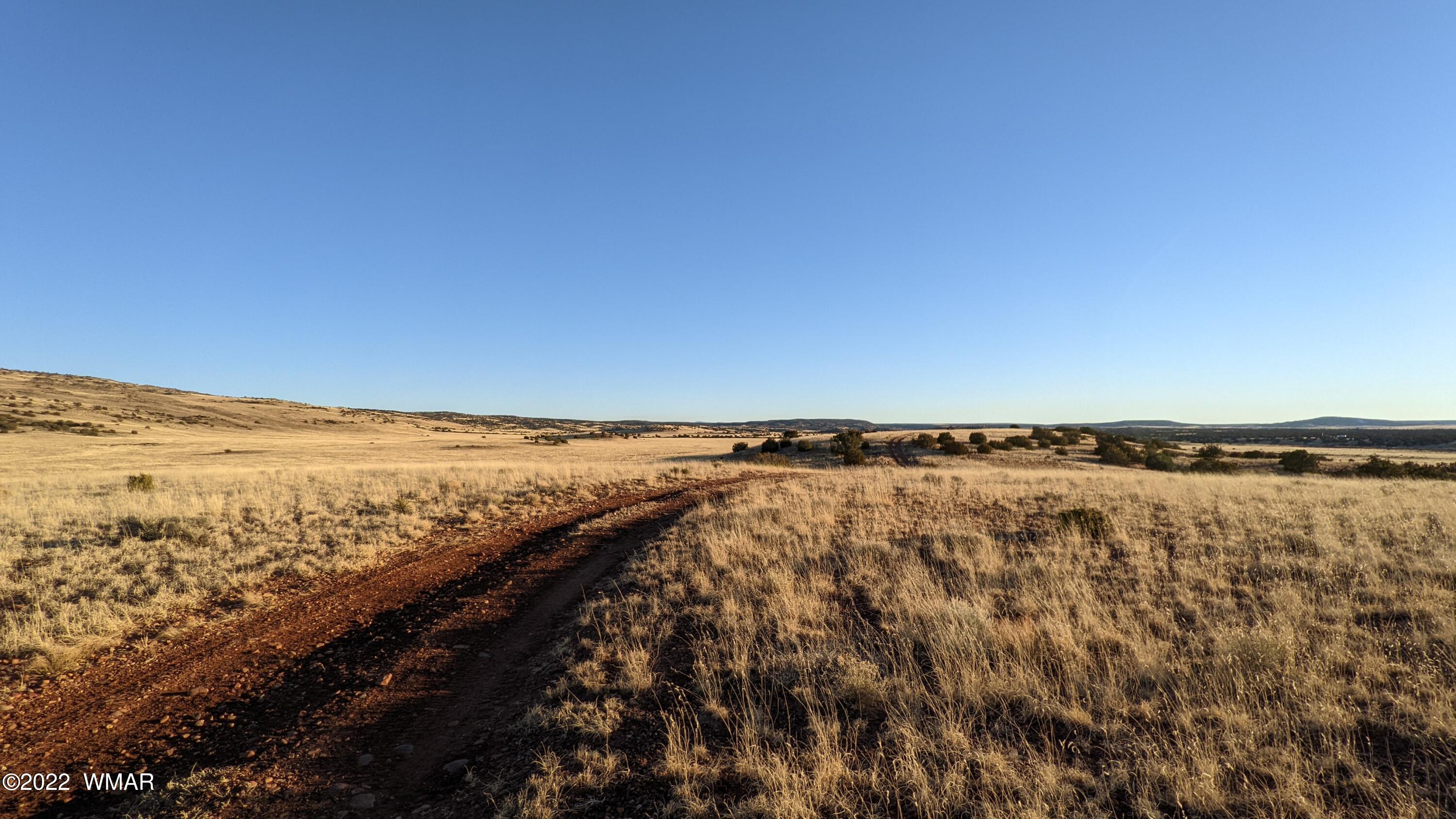 Lot 68 Big Valley Ranch Concho, AZ 85924 - Photo 14 of 17