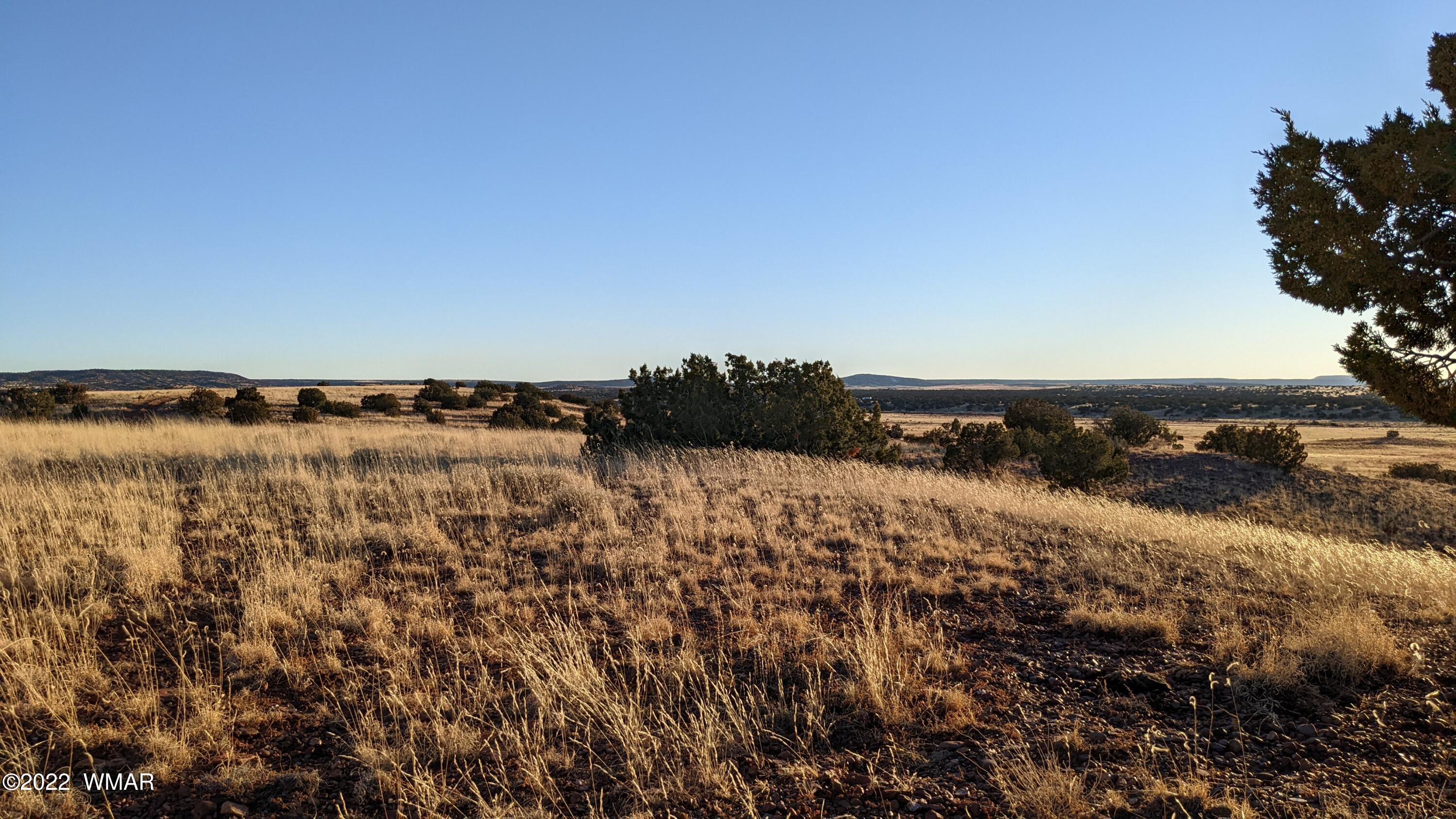 Lot 68 Big Valley Ranch Concho, AZ 85924 - Photo 15 of 17