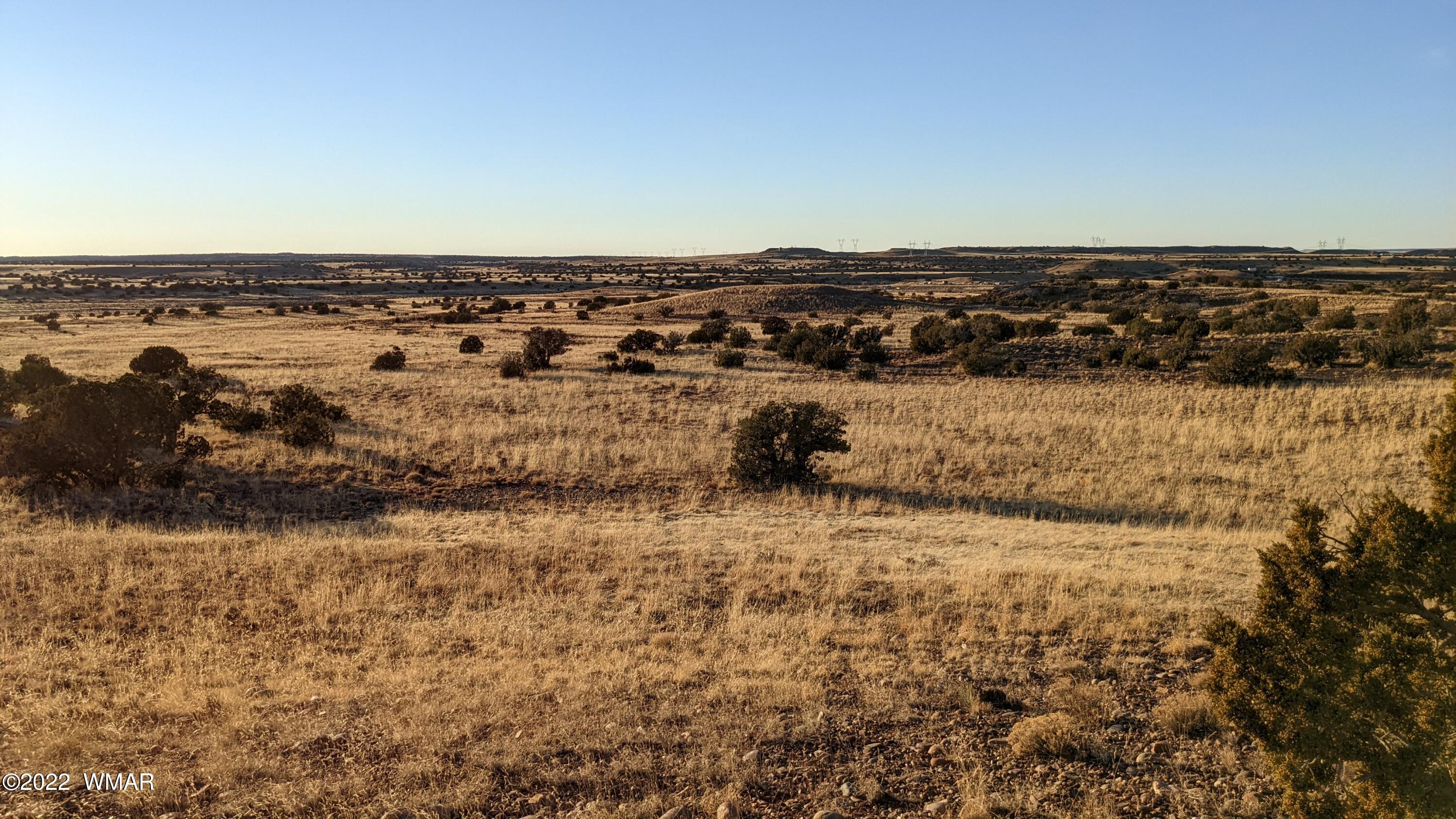 Lot 68 Big Valley Ranch Concho, AZ 85924 - Photo 16 of 17