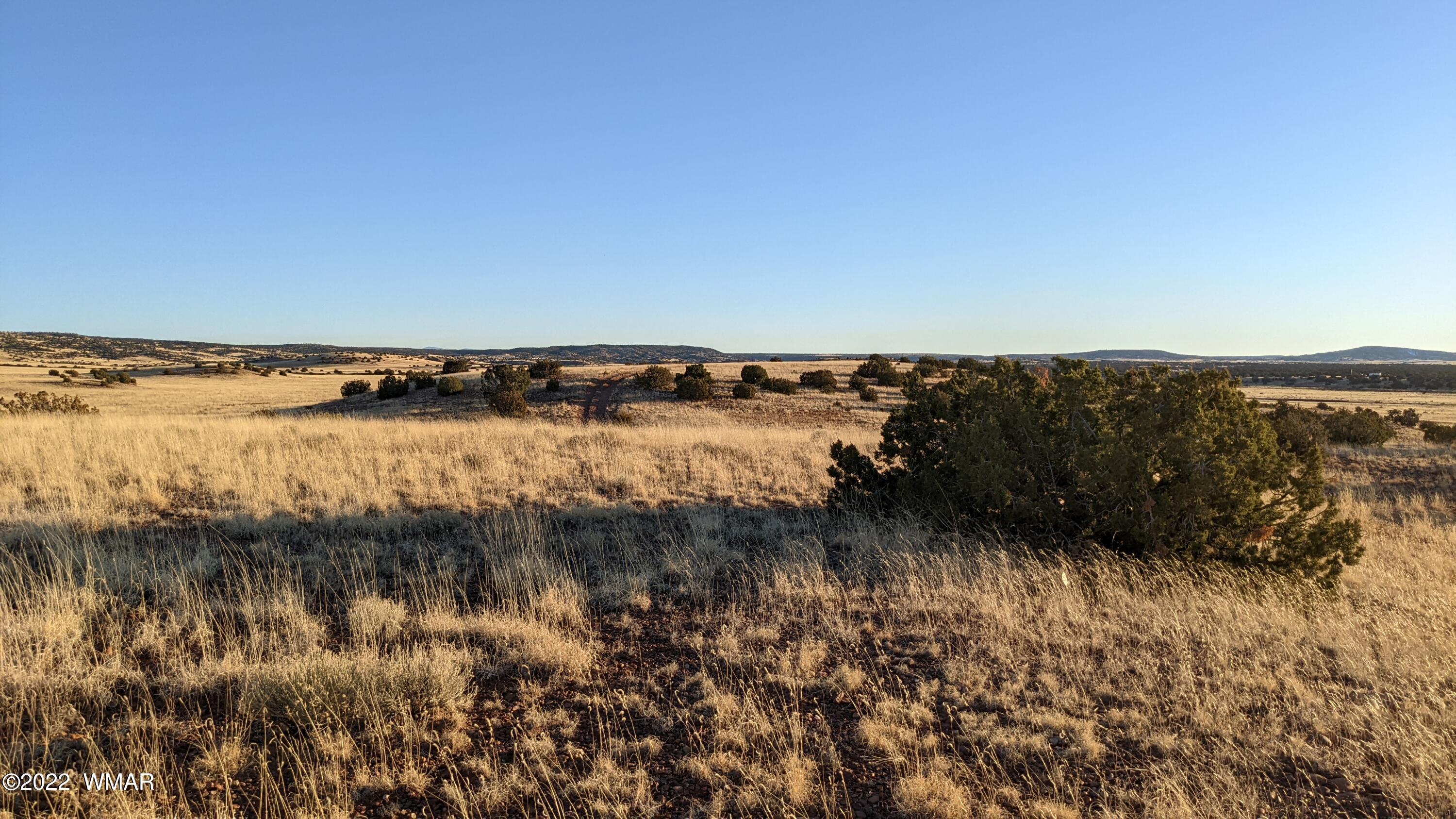 Lot 68 Big Valley Ranch Concho, AZ 85924 - Photo 17 of 17