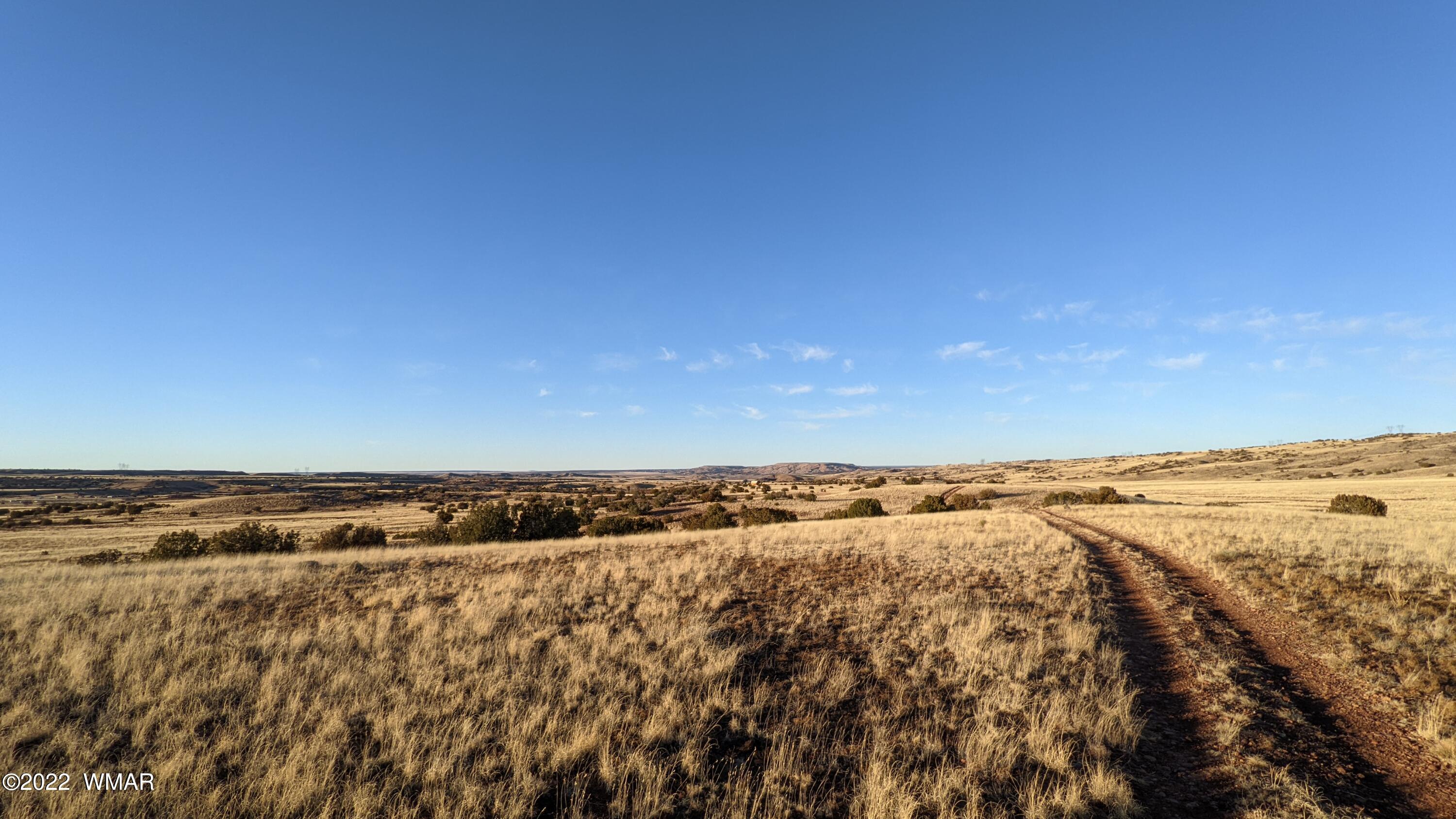 Lot 68 Big Valley Ranch Concho, AZ 85924 - Photo 2 of 17