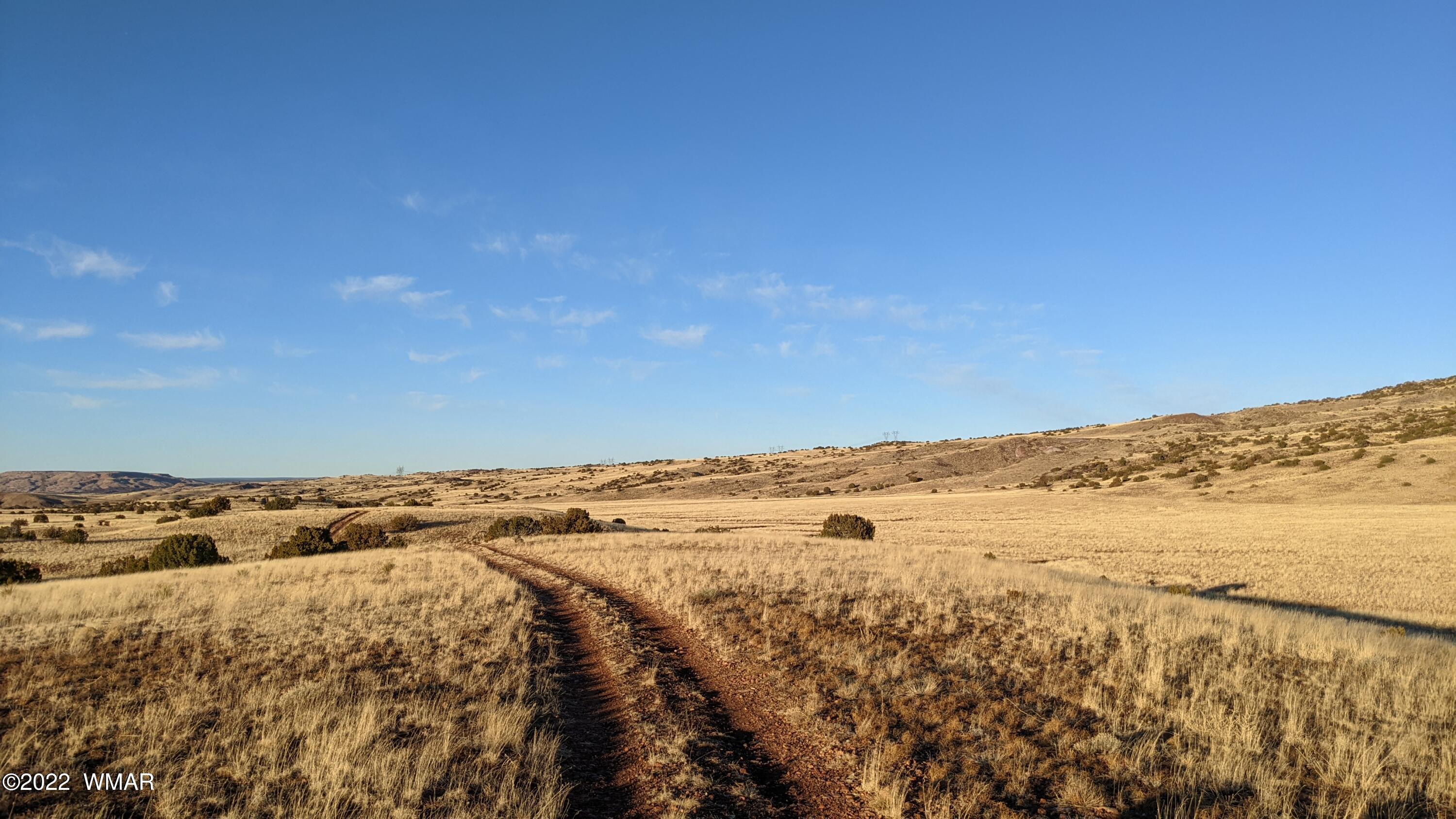 Lot 68 Big Valley Ranch Concho, AZ 85924 - Photo 4 of 17