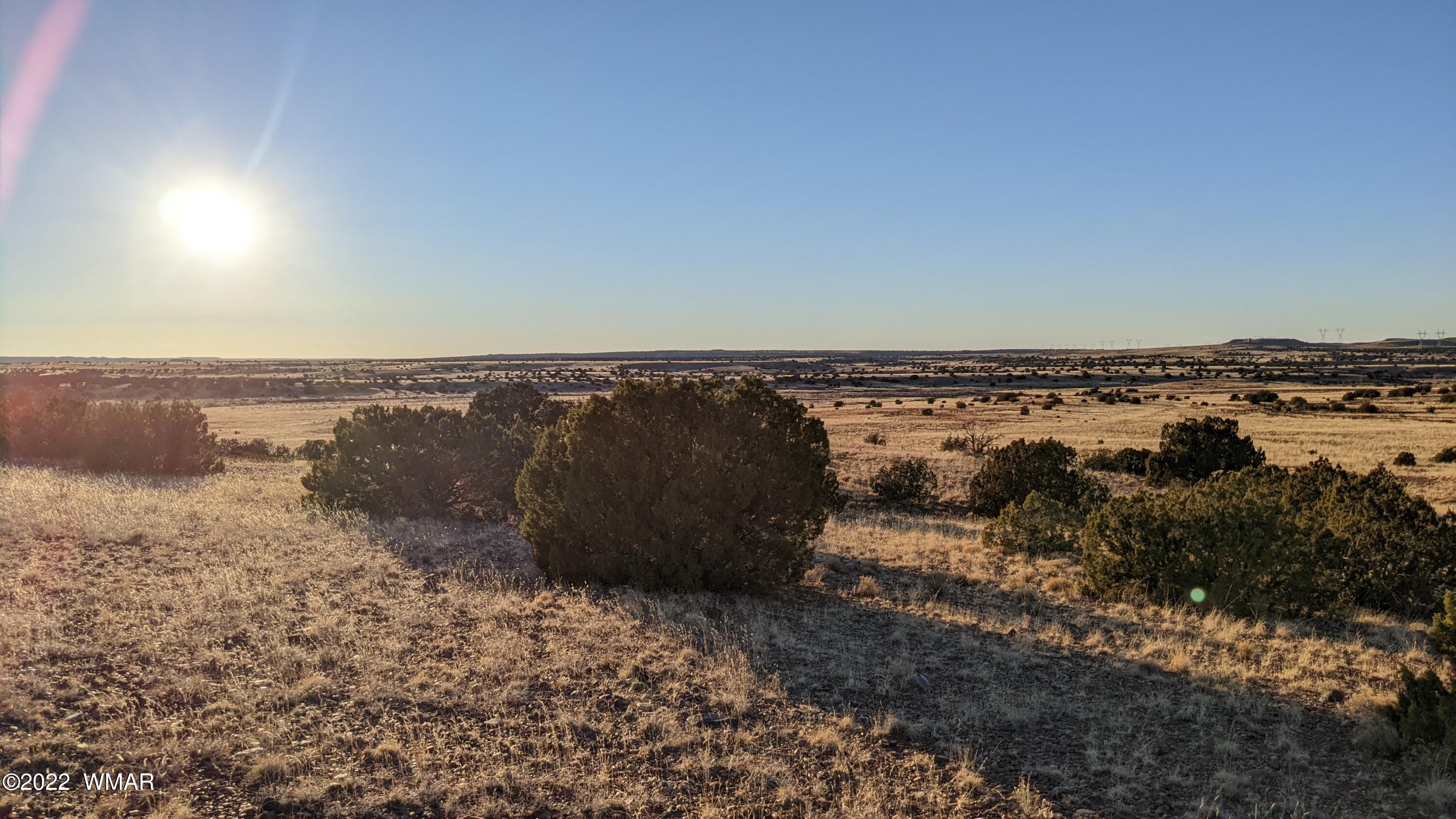 Lot 68 Big Valley Ranch Concho, AZ 85924 - Photo 5 of 17