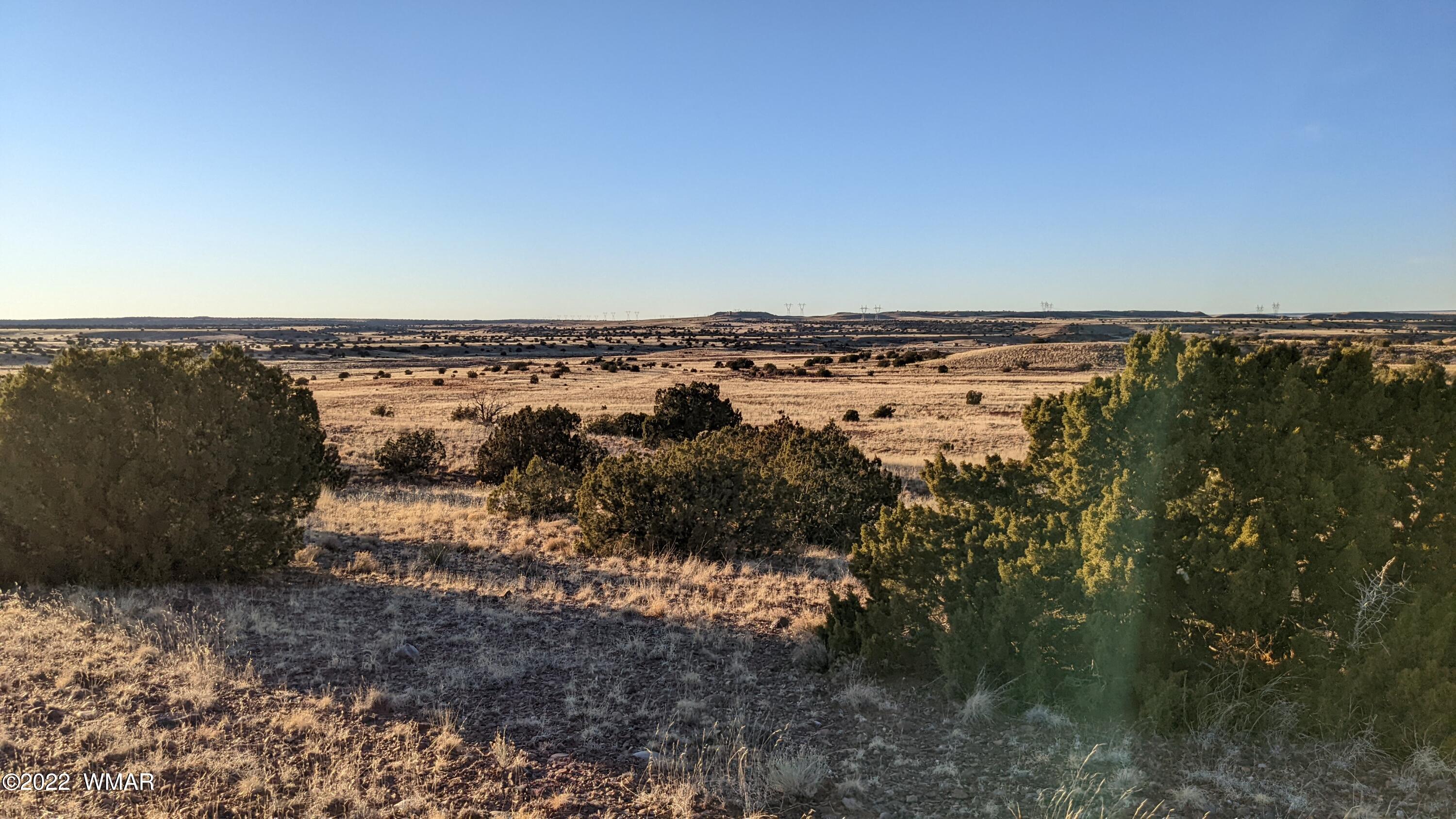 Lot 68 Big Valley Ranch Concho, AZ 85924 - Photo 6 of 17