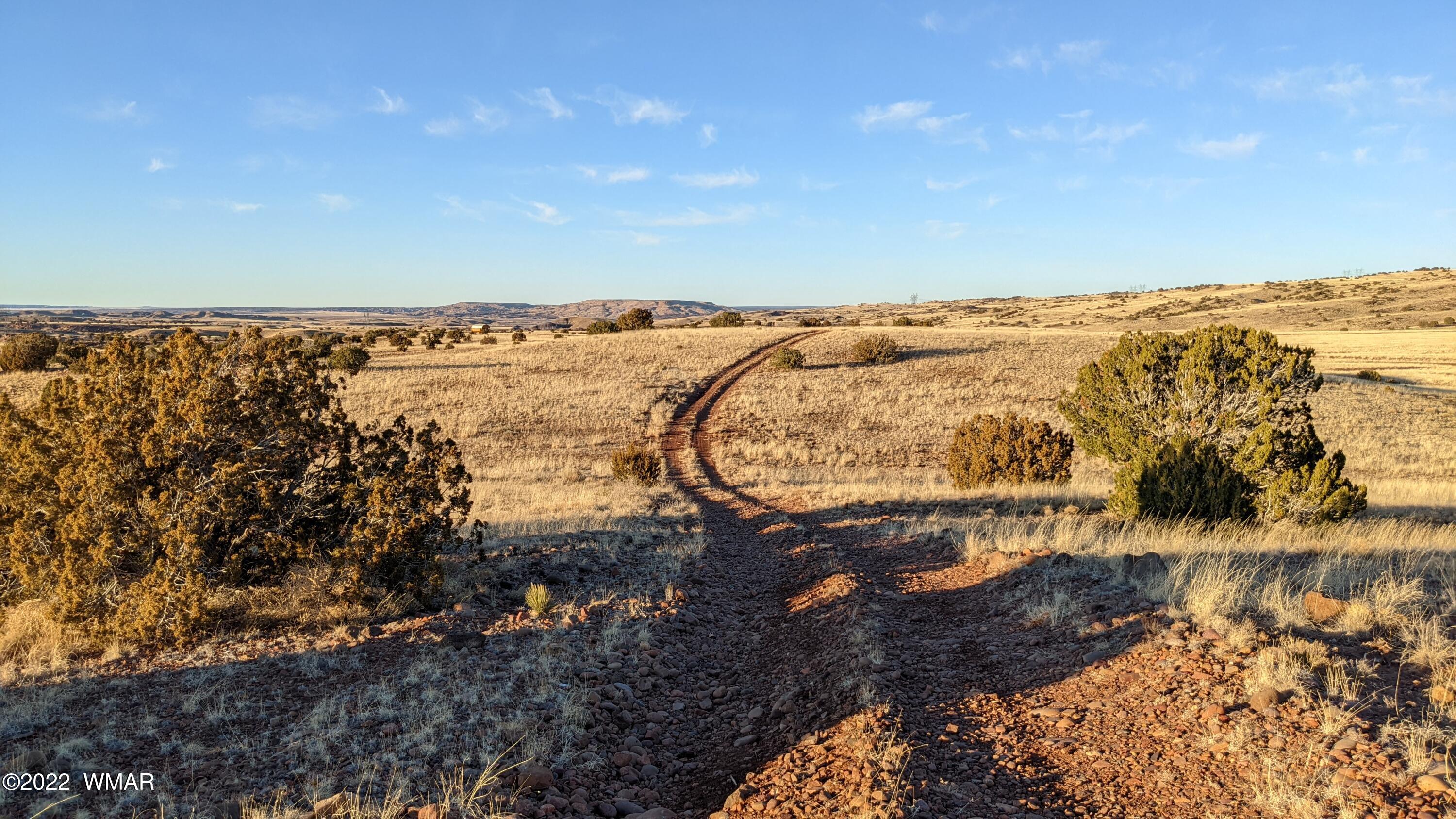 Lot 68 Big Valley Ranch Concho, AZ 85924 - Photo 7 of 17
