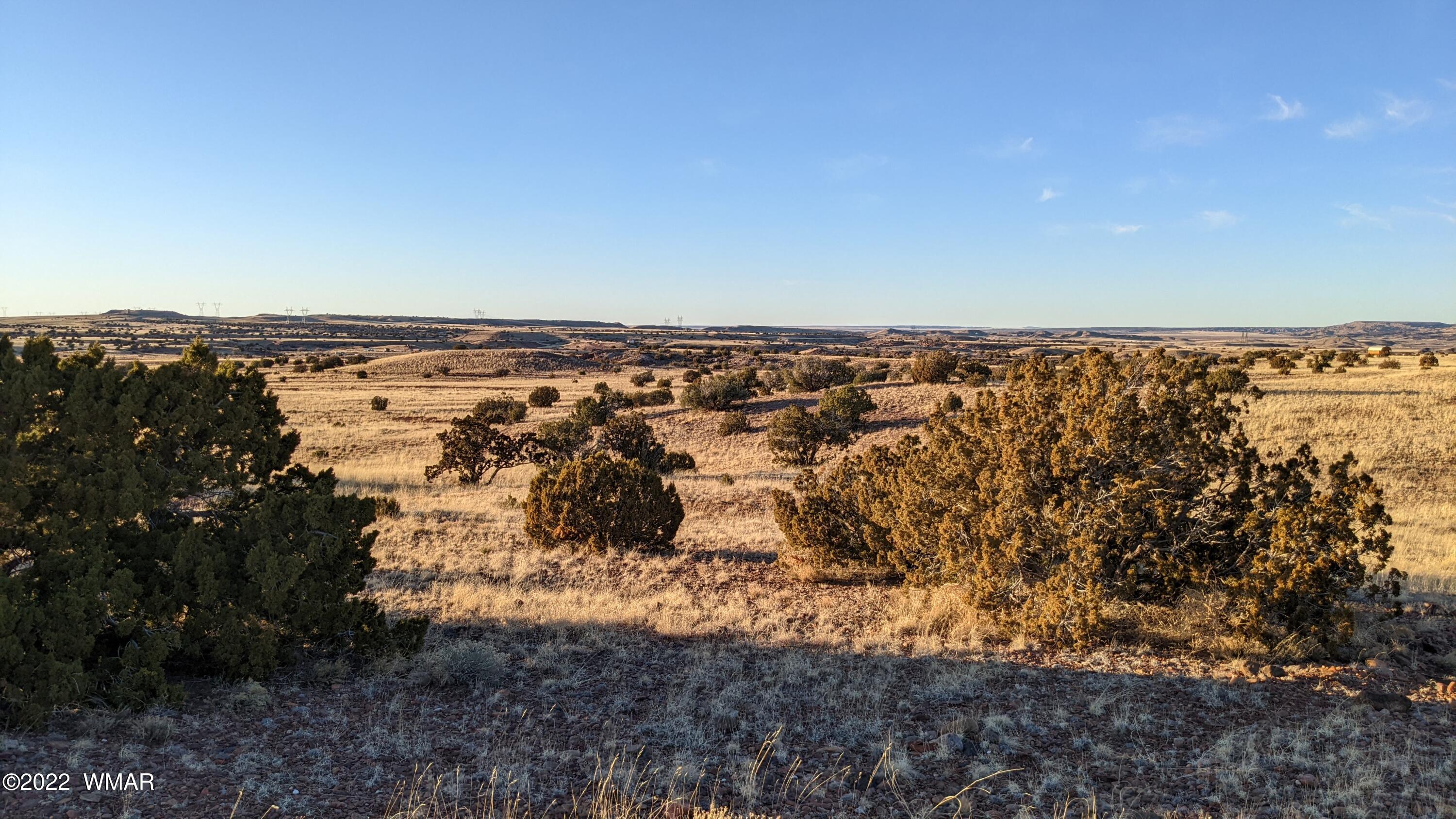 Lot 68 Big Valley Ranch Concho, AZ 85924 - Photo 8 of 17