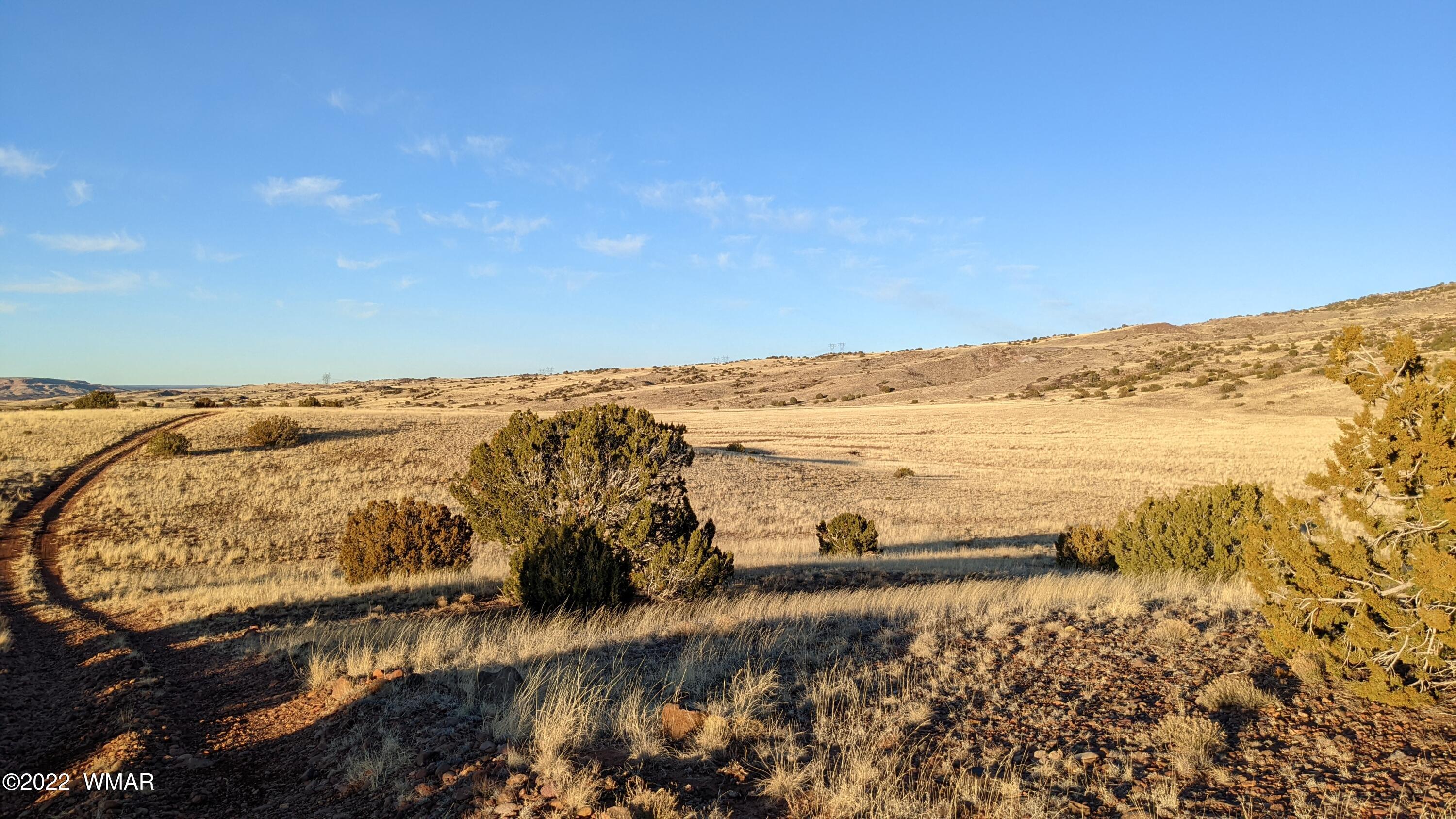 Lot 68 Big Valley Ranch Concho, AZ 85924 - Photo 9 of 17