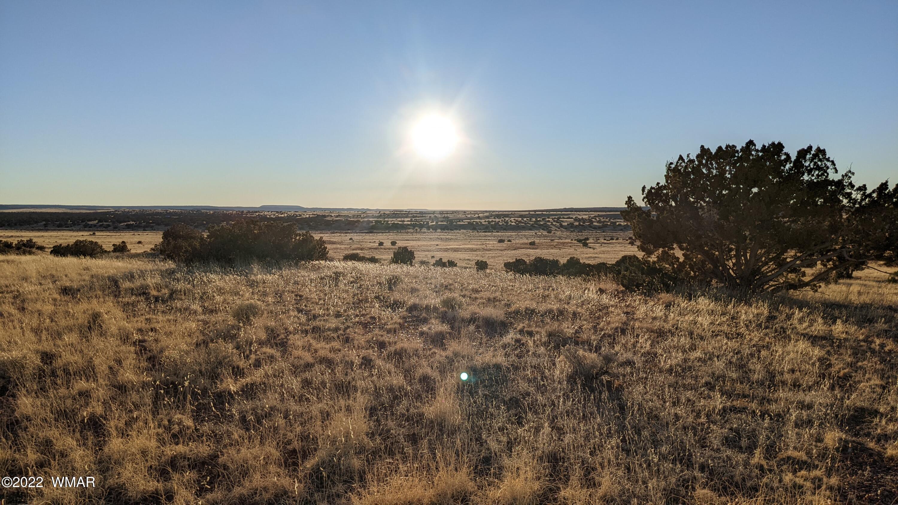 Lot 68 Big Valley Ranch Concho, AZ 85924 - Photo 10 of 17