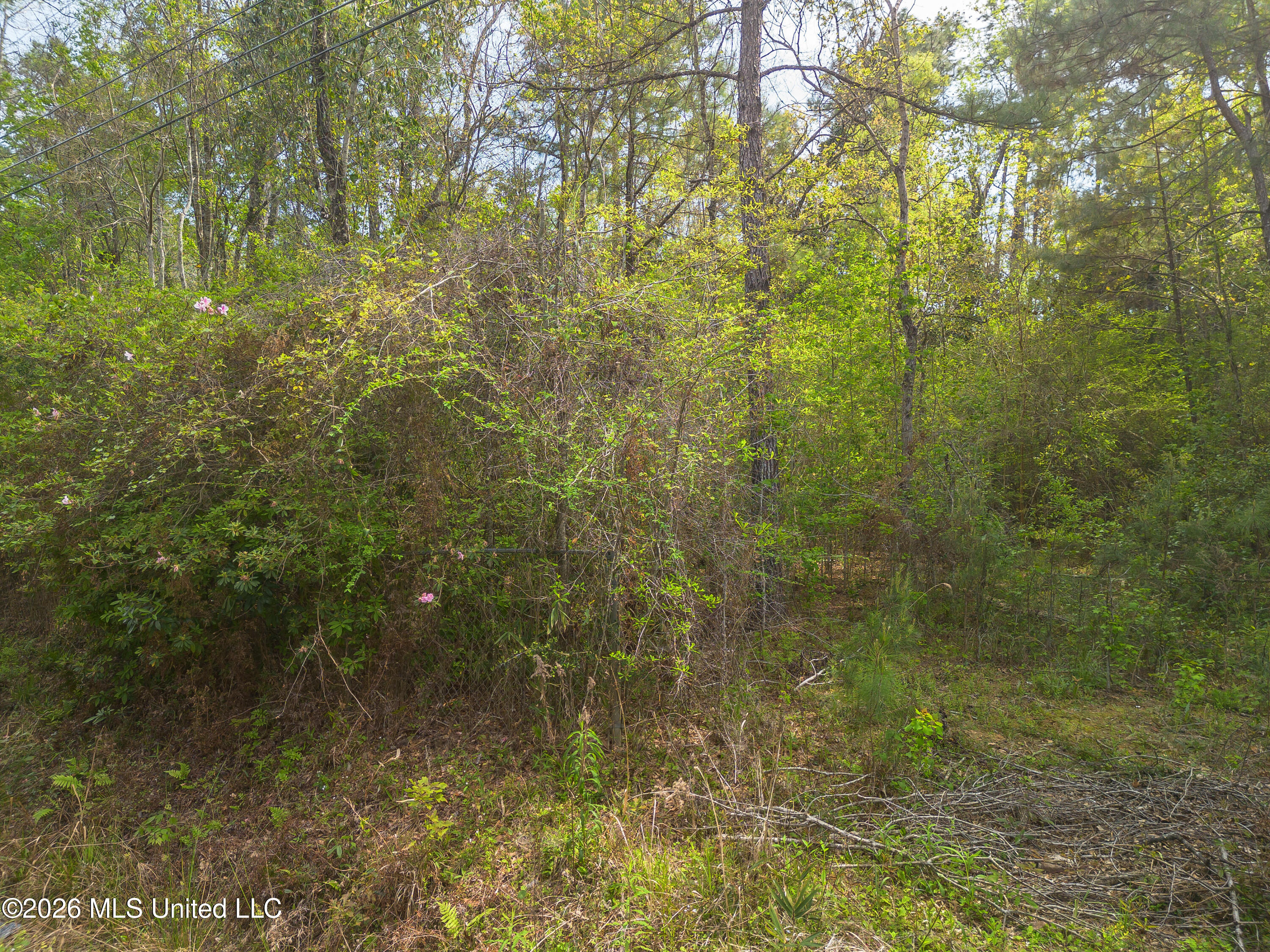 13264 River Road Gulfport, MS 39503 - Photo 4 of 12 13264 River Road