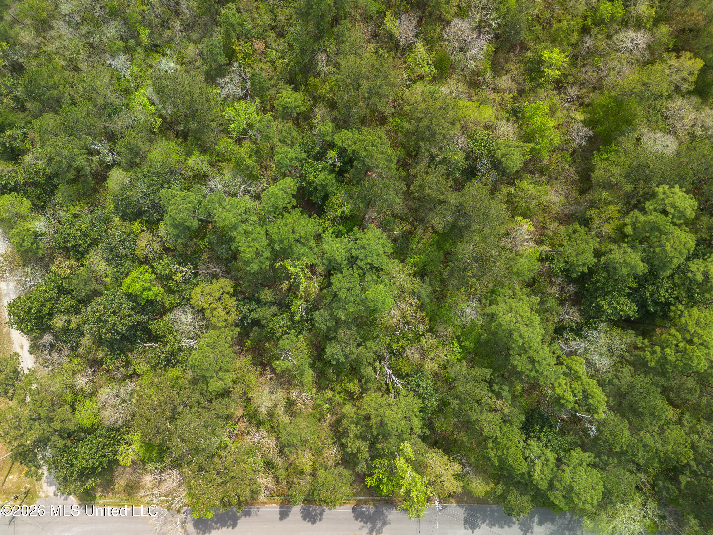 13264 River Road Gulfport, MS 39503 - Photo 7 of 12 13264 River Road