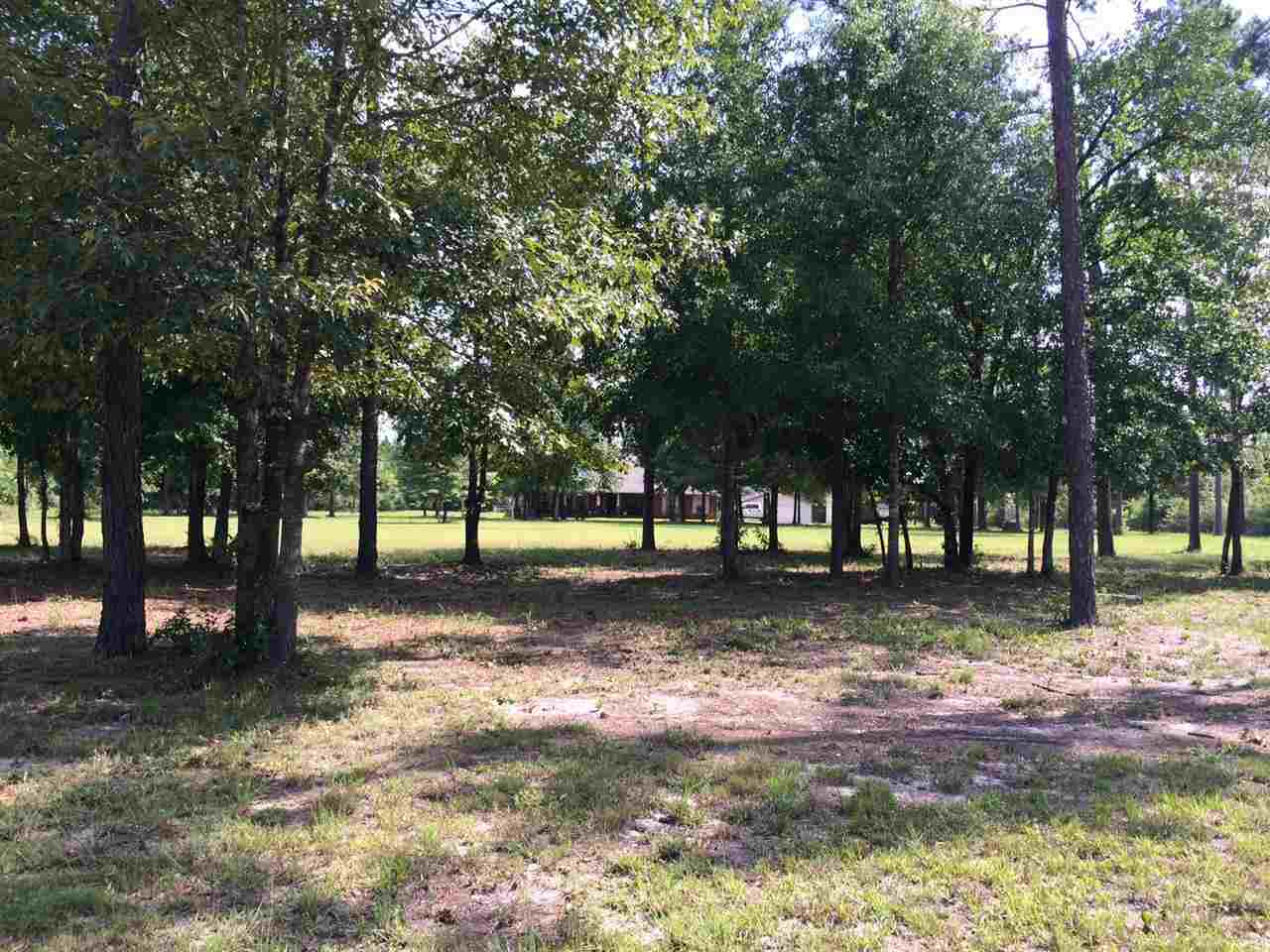 10288 Chumuckla Springs Road Jay, FL 32565 - Photo 36 of 41 Gallery Image 36
