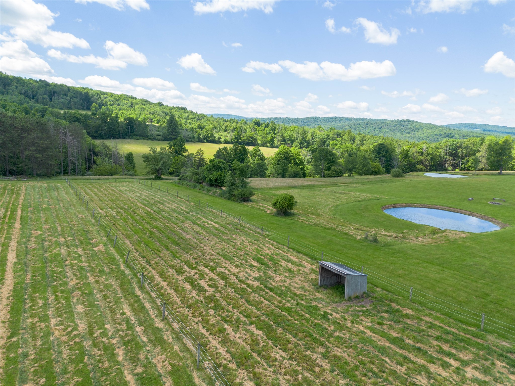 910 Rhodes Road Apalachin, NY 13732 - Photo 44 of 50