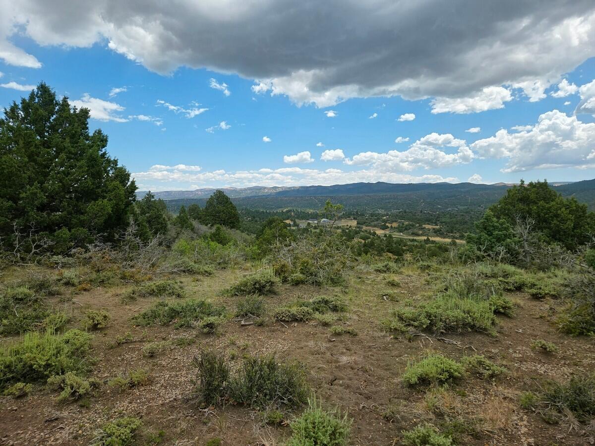 West Silverado Ridge Alton, UT 84710 - Photo 7 of 24 Of the Property6