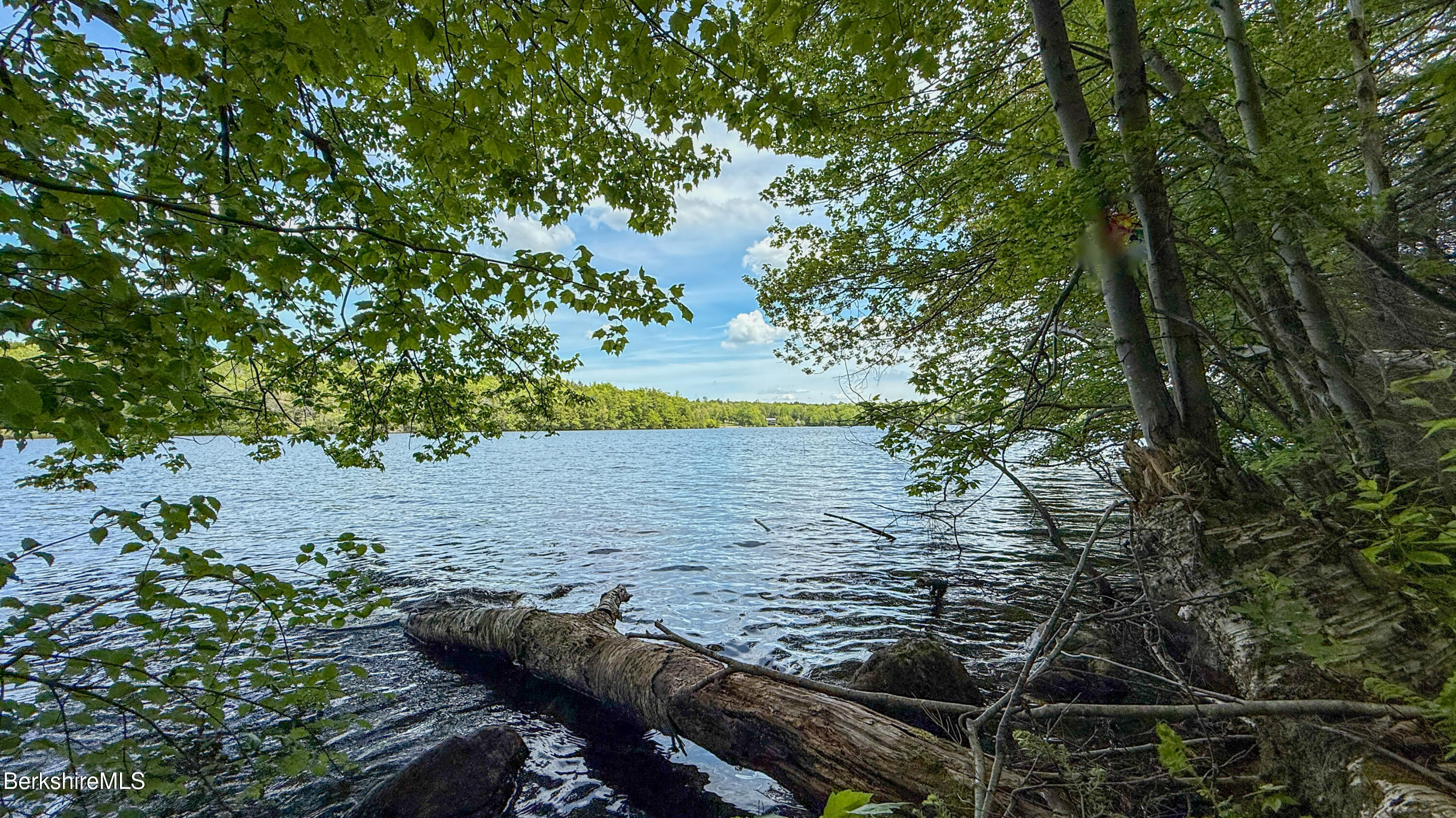 a view of a yard with plants