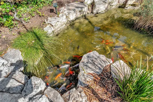 a view of a garden with large trees