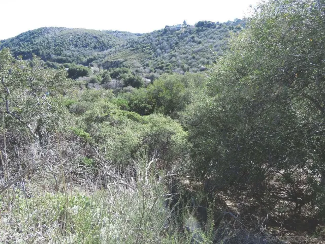 a view of a mountain in the distance in a field