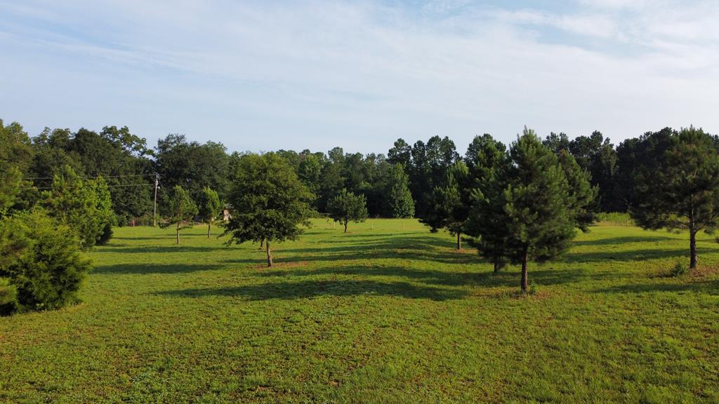 1001 Crawford Creek Road Cowarts, AL 36321 - Photo 1 of 17