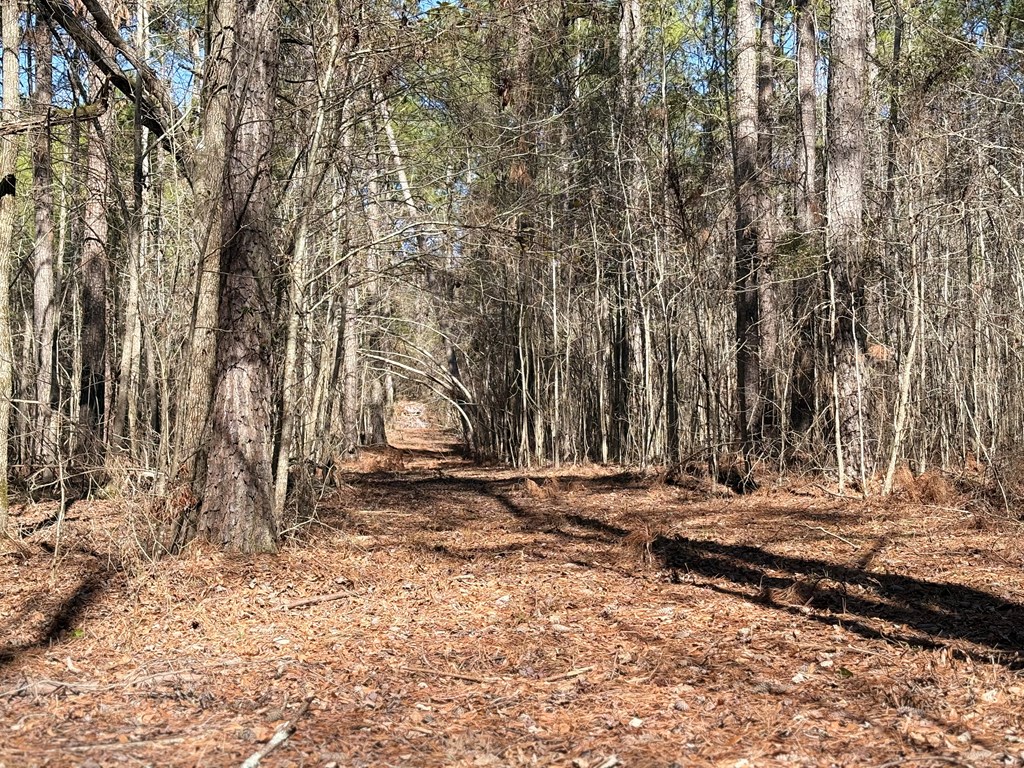 0 Upper Mill Road McCormick, SC 29835 - Photo 16 of 18 Gallery Image 16