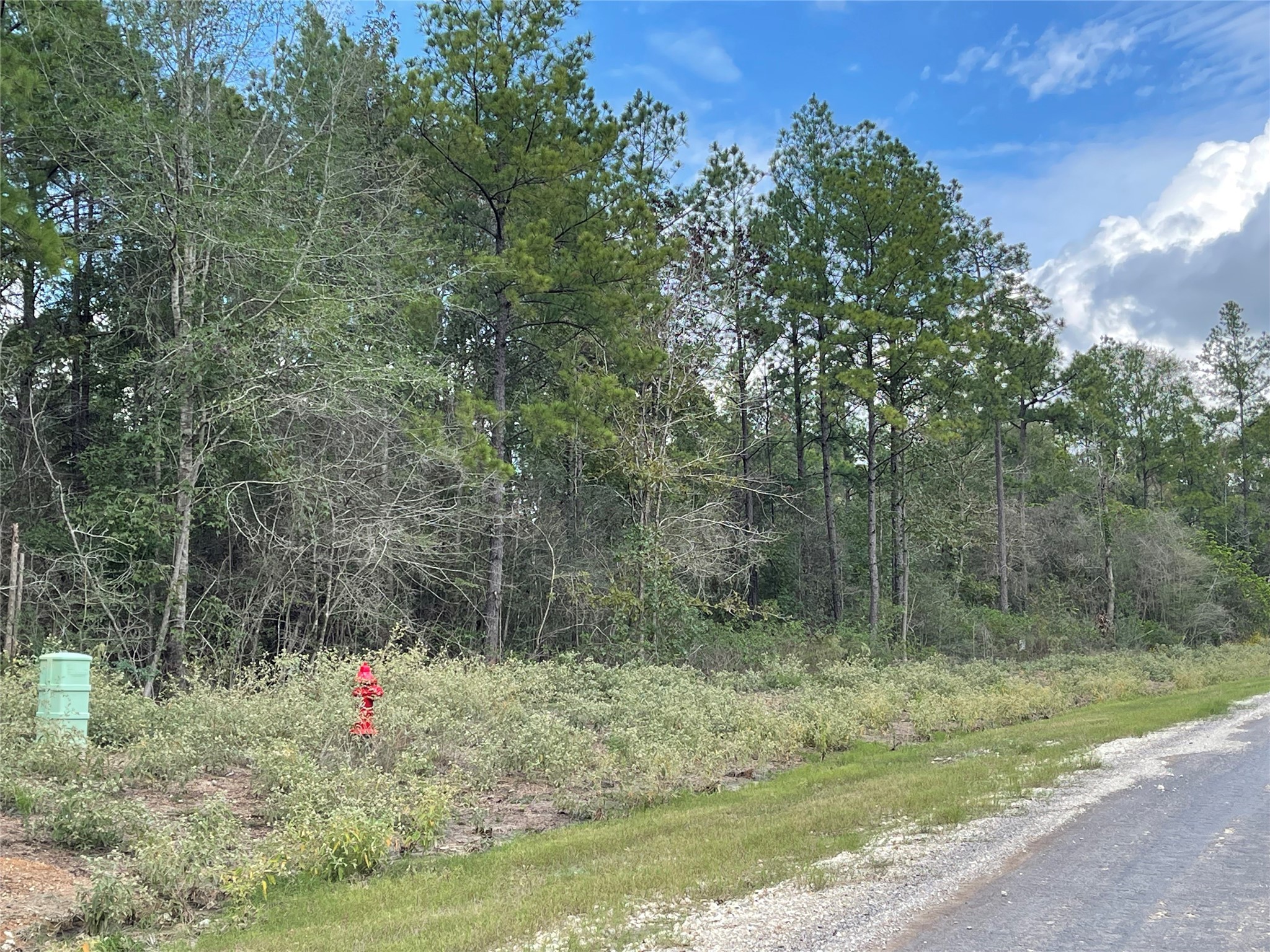 15829 Ridge Rock Road Willis, TX 77378 - Photo 4 of 16 a view of a field